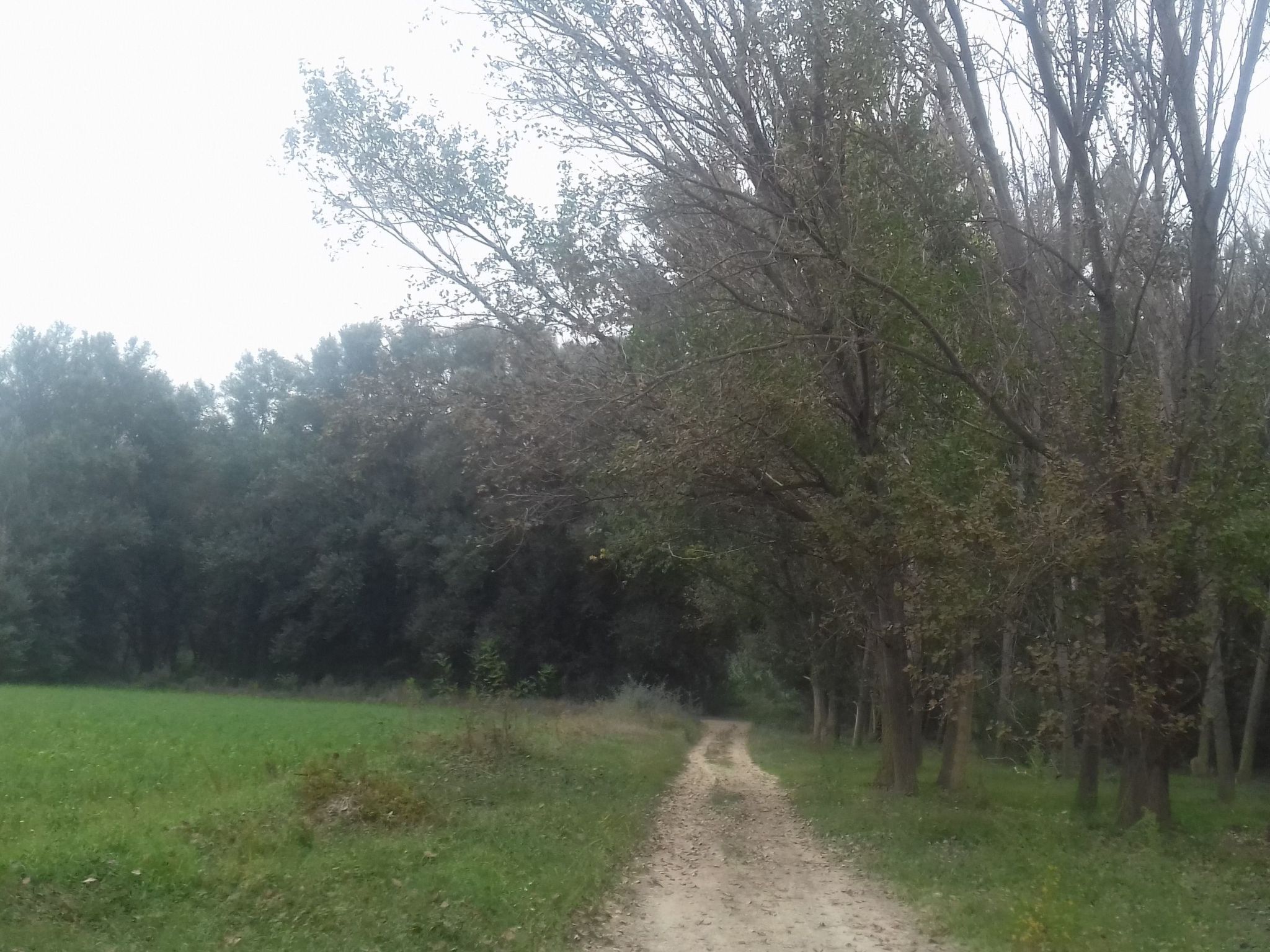 Casa rural hospital del temple-Image-tags.info