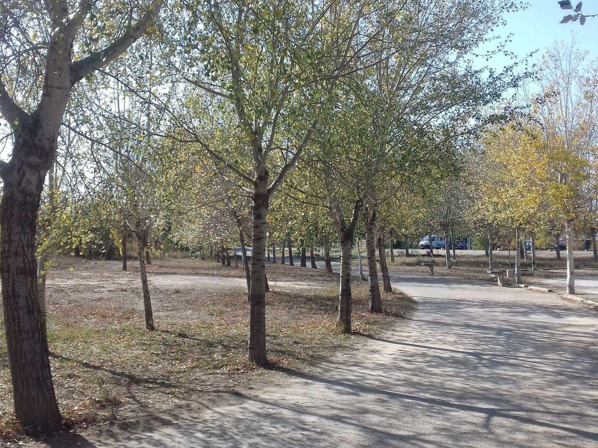 Casa rural hospital del temple-Image-tags.info