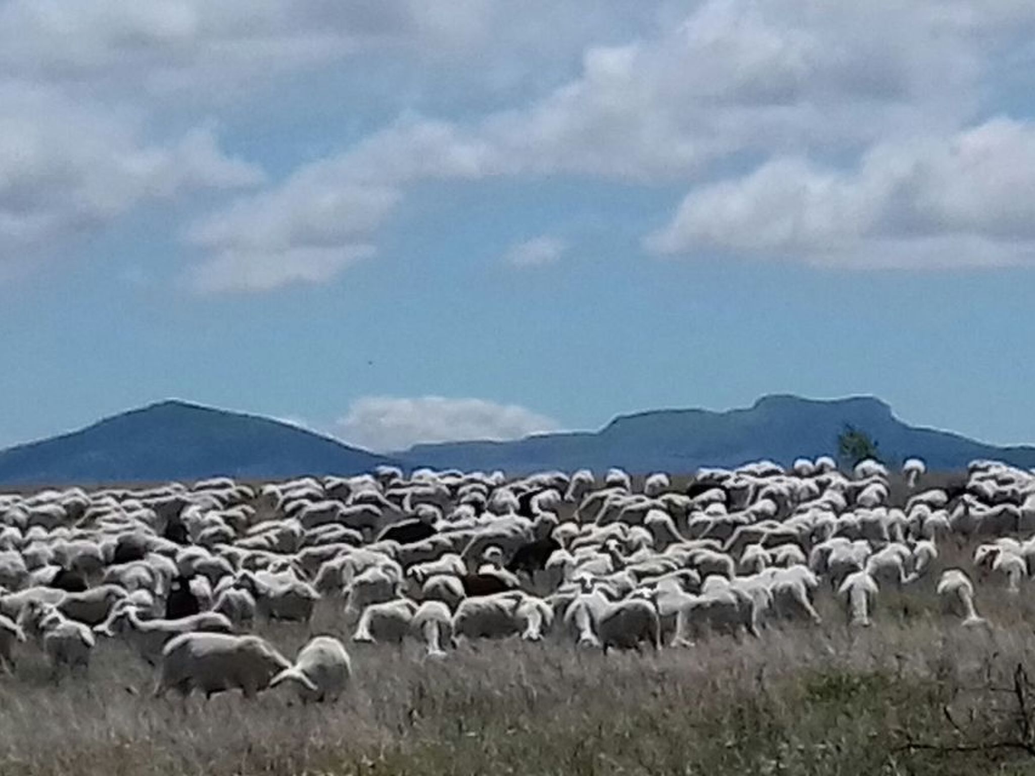 Casa rural hospital del temple-Image-tags.info