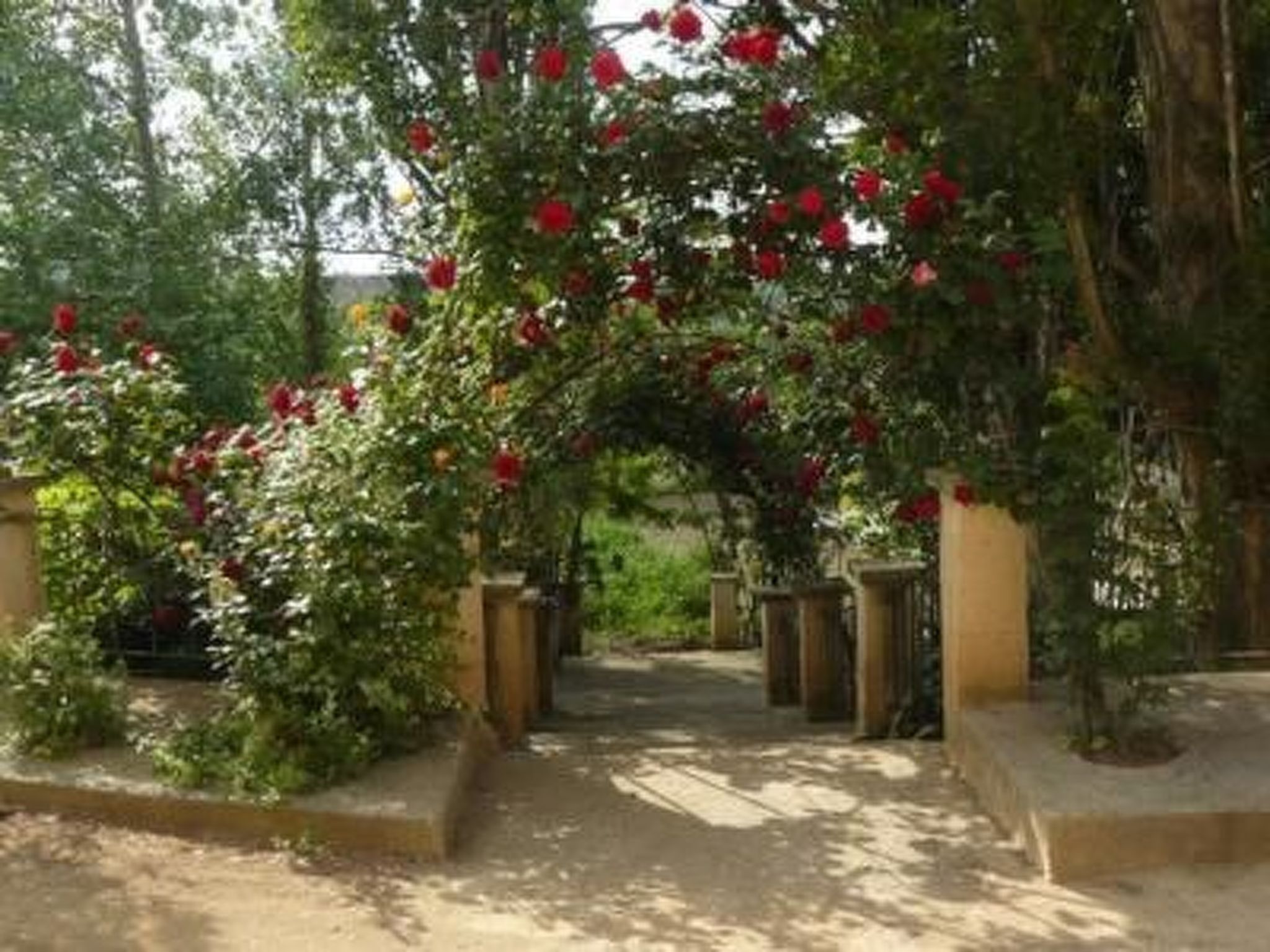 Torre de Campos in Ainzón - Hauptgebäude
