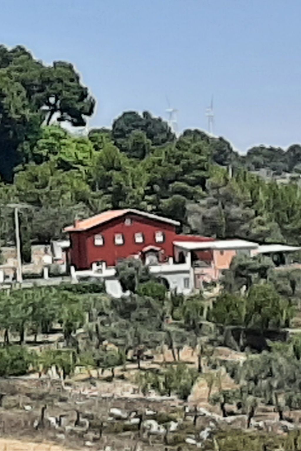 Weingut "Garnacha de Borja".-Outside