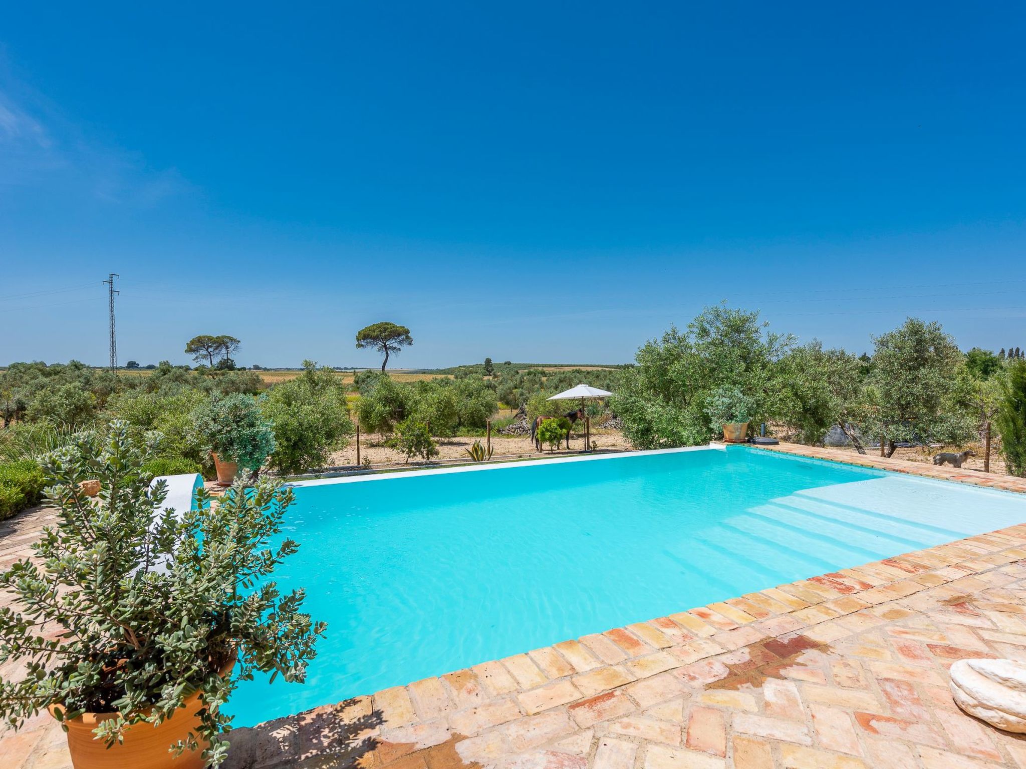 Hacienda San Antonio-Image-tags.info