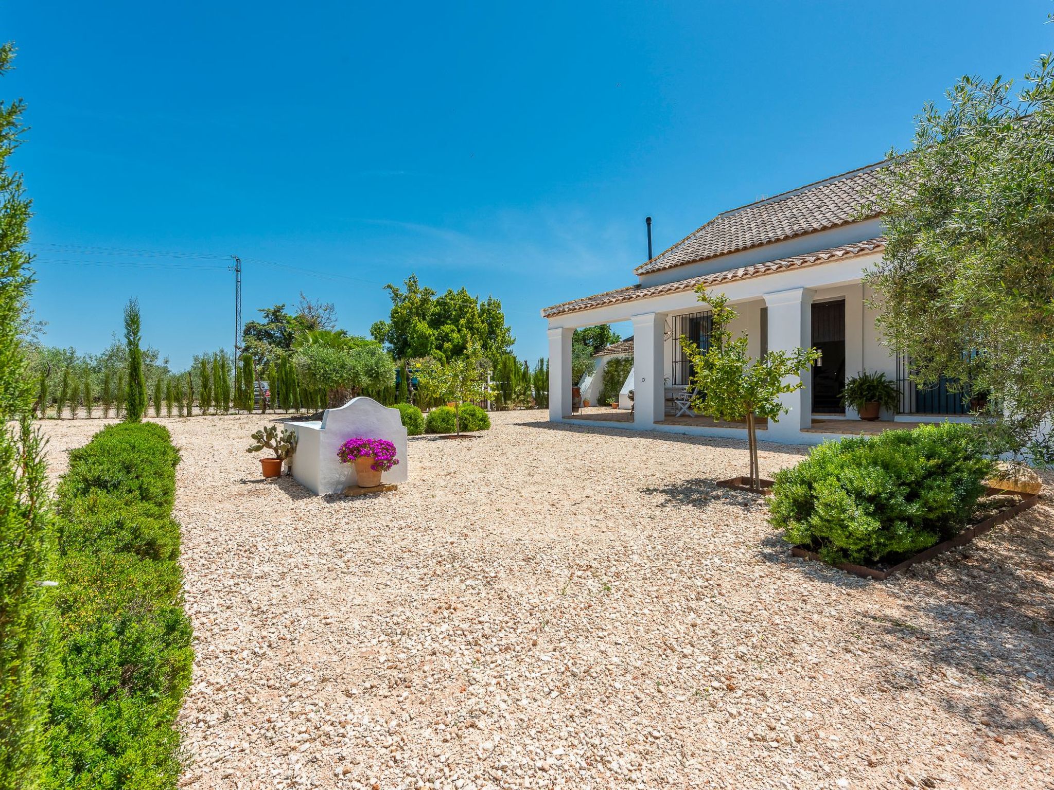 Hacienda San Antonio-Dehors