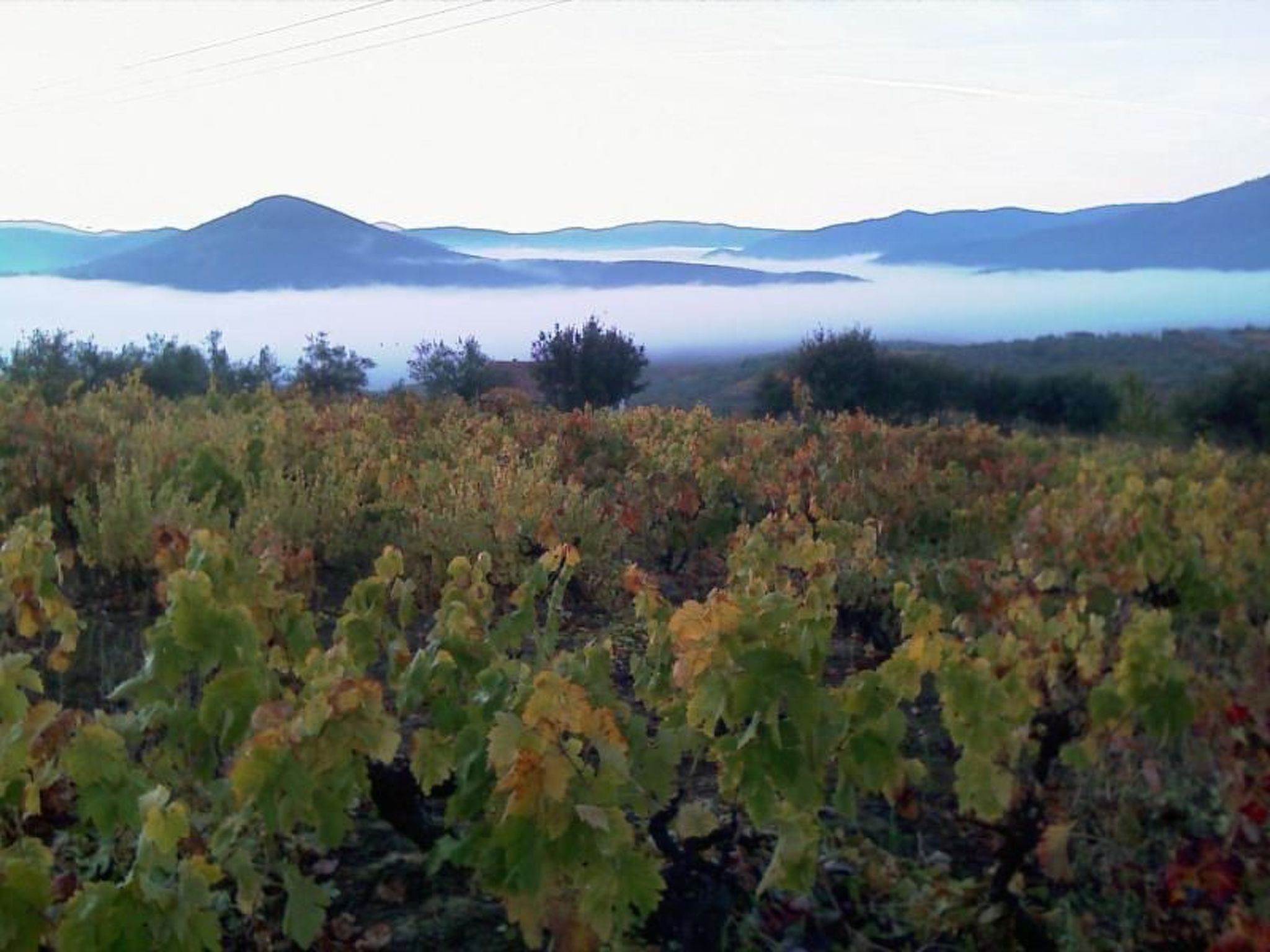 Wohnung in Sotoserrano mit Terrasse und Garten-Image-tags.info