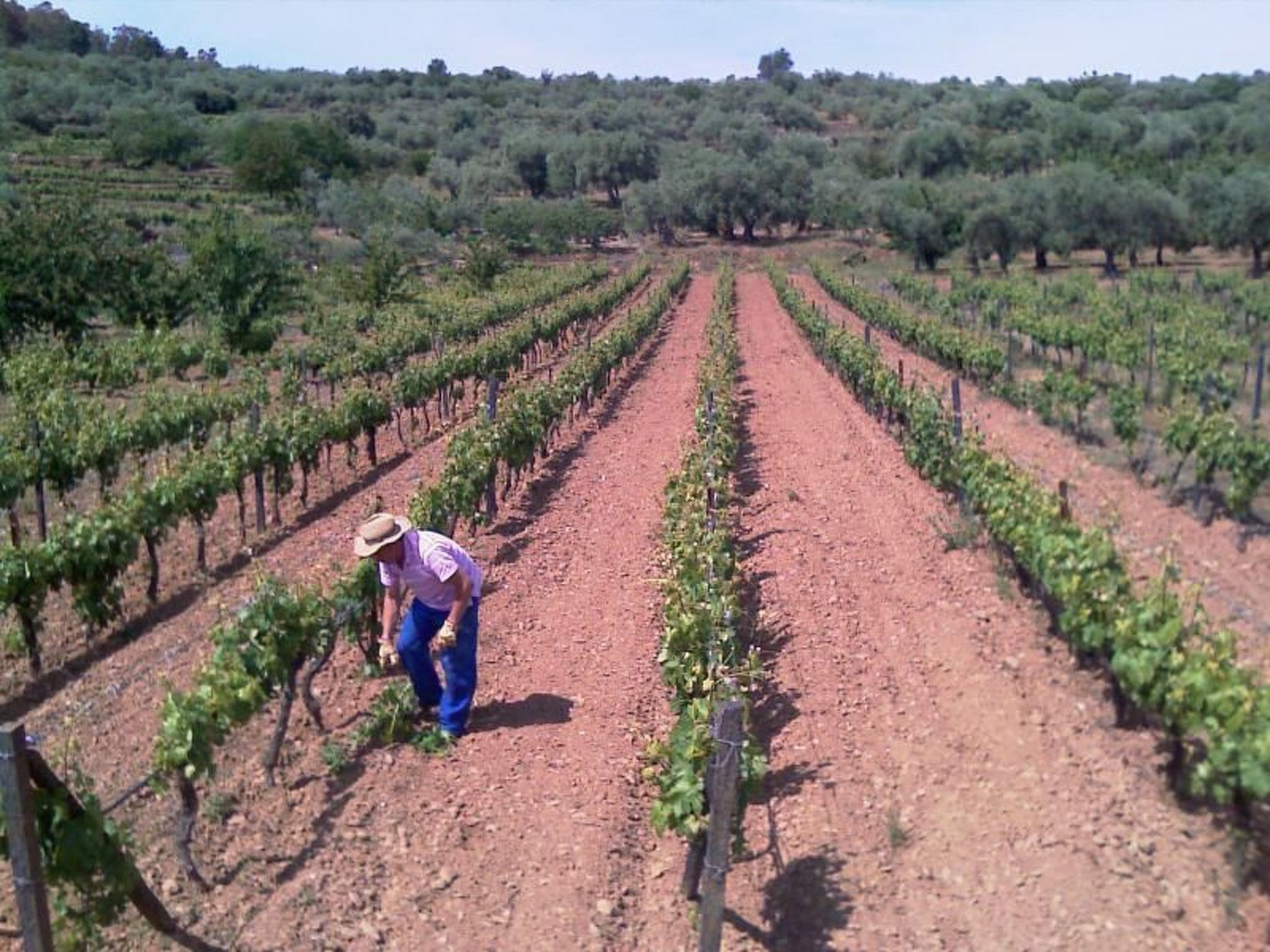 El Mirador del Soto-Outside