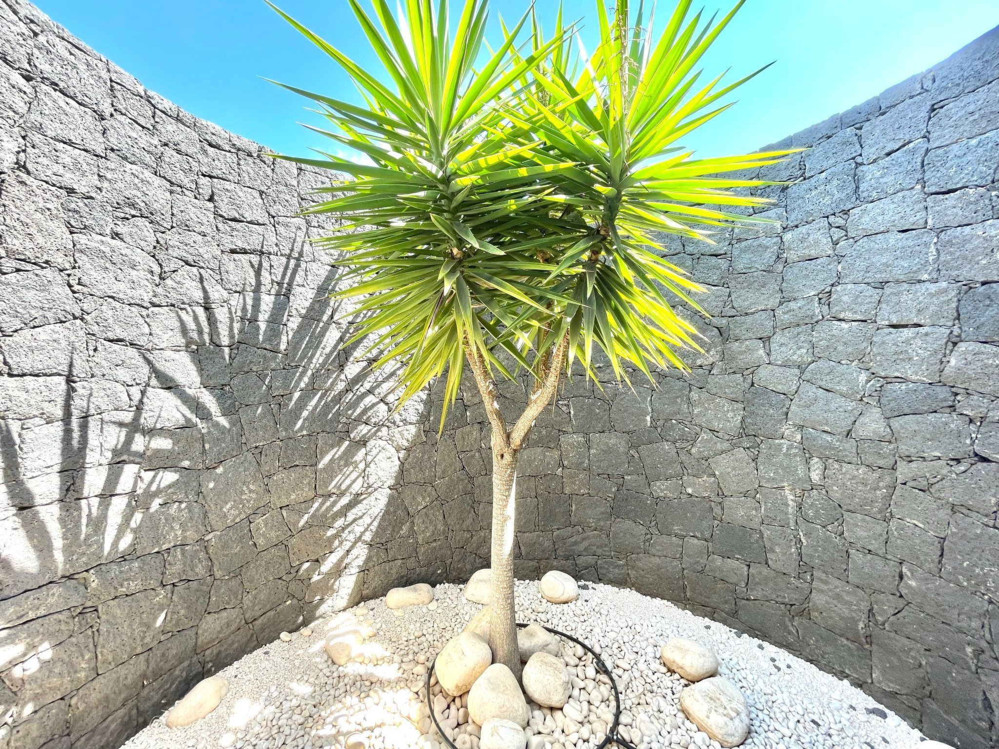 Mamma Mia Playa Blanca Luxus-Villen-Binnen