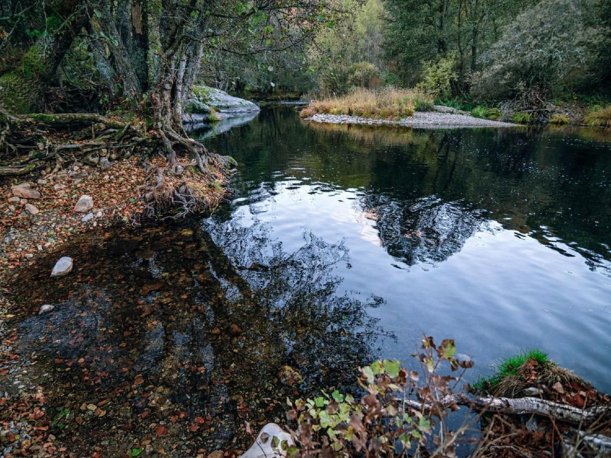 Rural House in the mountain of León-Outside