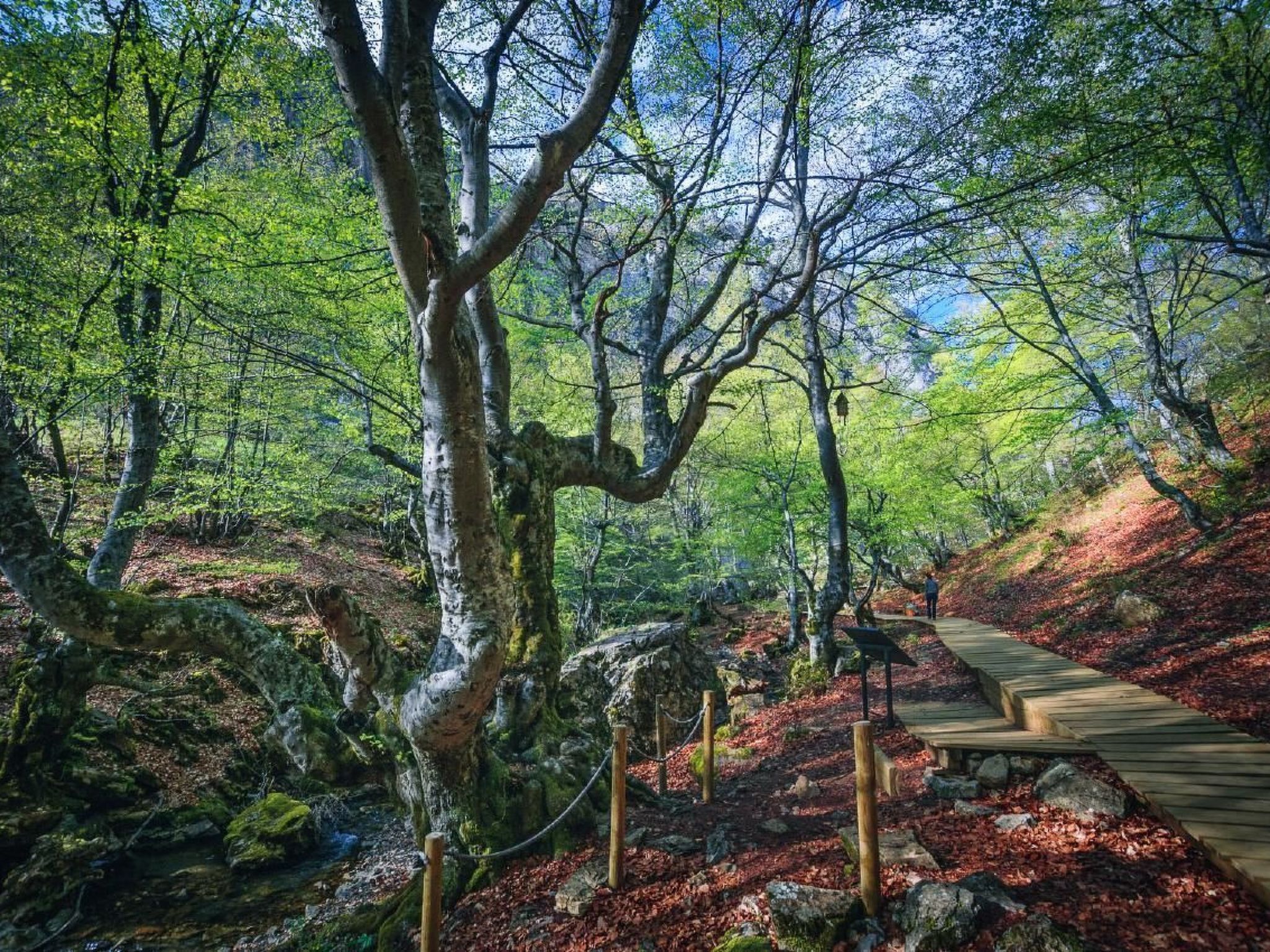 Rural House in the mountain of León-Outside