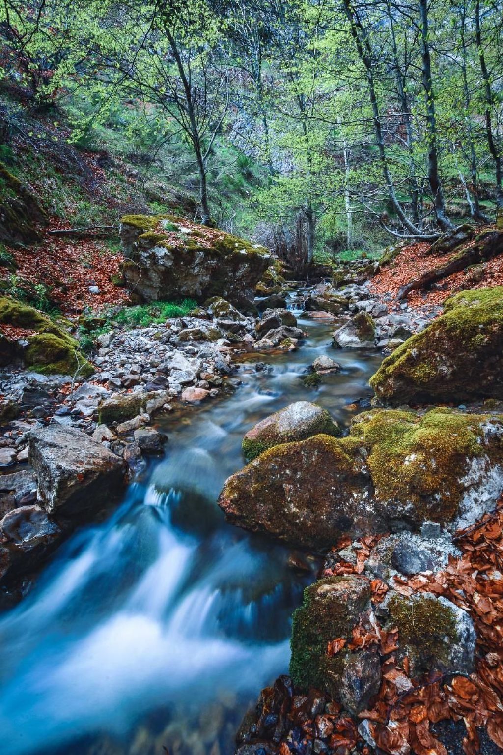 Rural House in the mountain of León-Image-tags.info