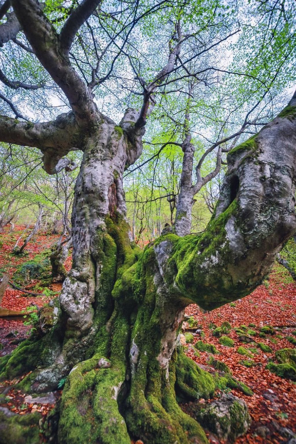 Rural House in the mountain of León-Image-tags.info