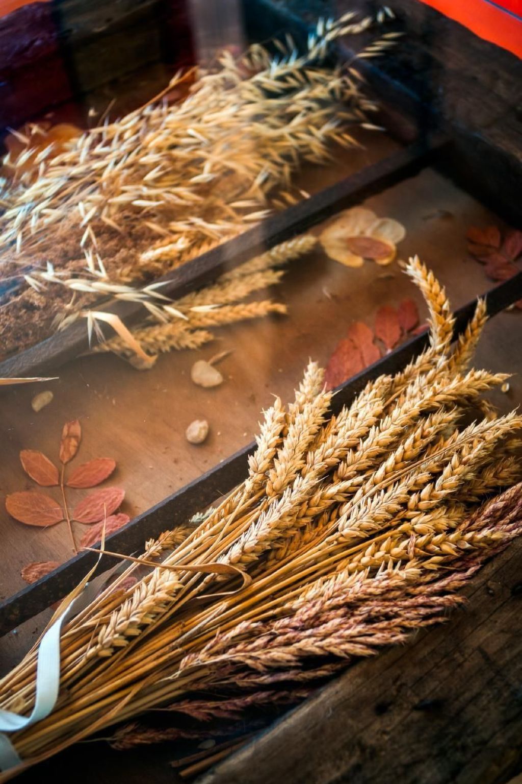 Rural House in the mountain of León