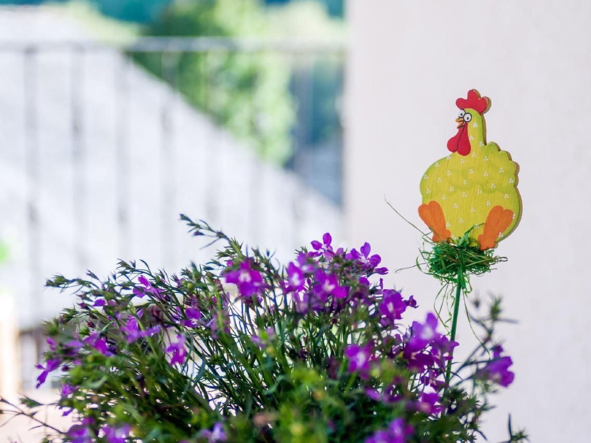 Rural House in the mountain of León