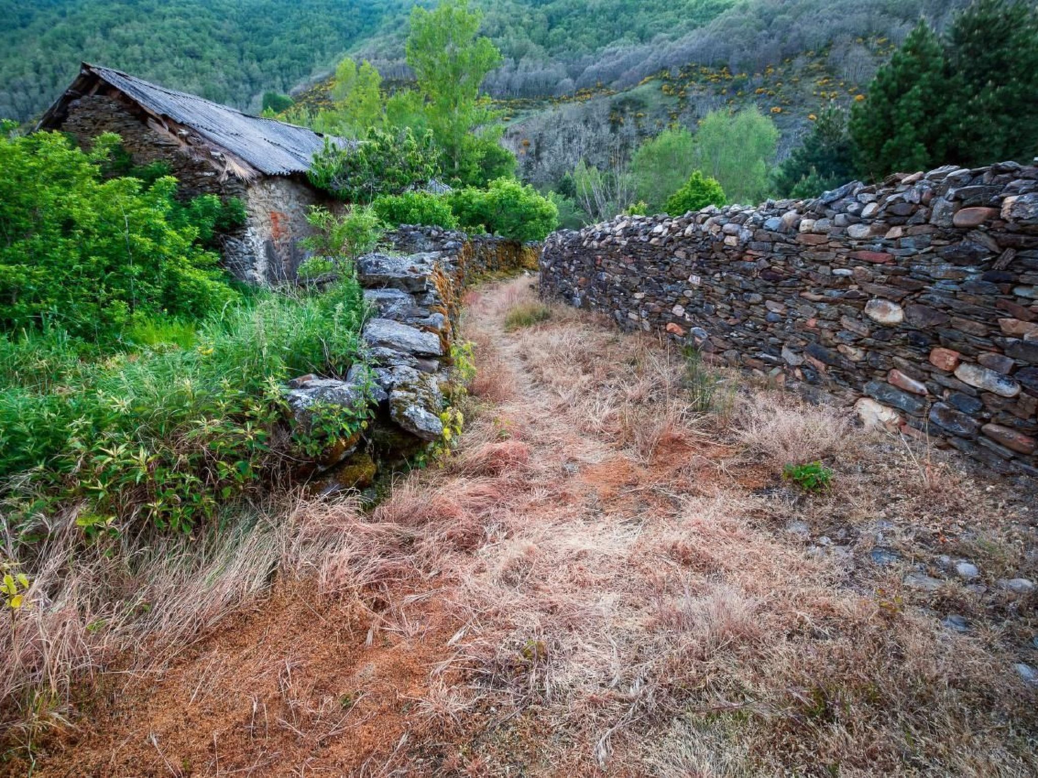 Rural House in the mountain of León-Image-tags.info