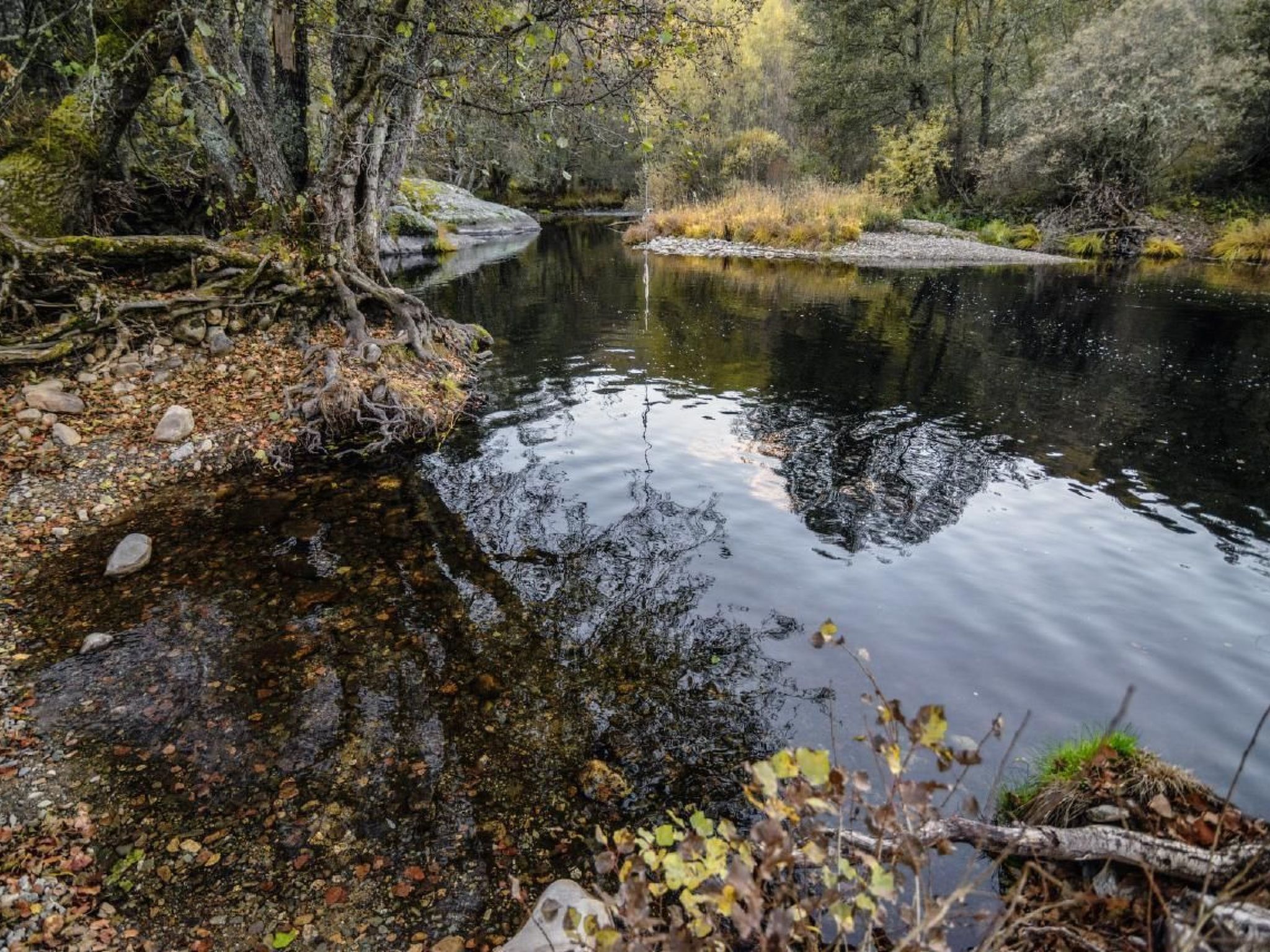 Rural House in the mountain of León-Outside