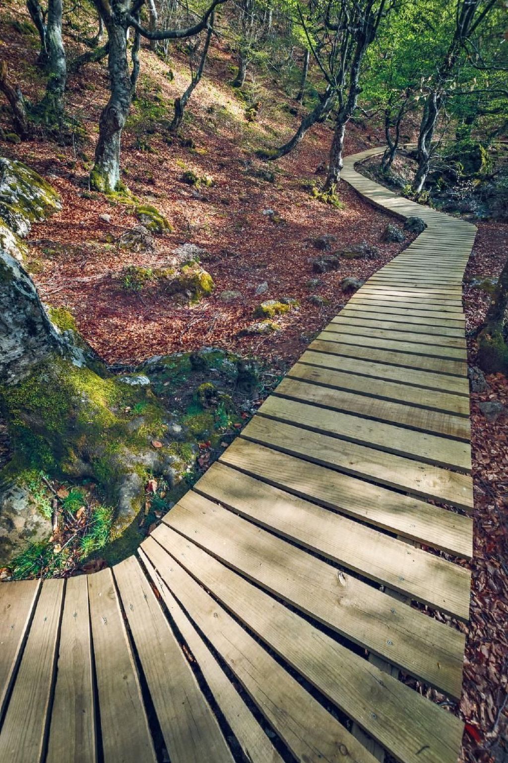 Rural House in the mountain of León-Outside