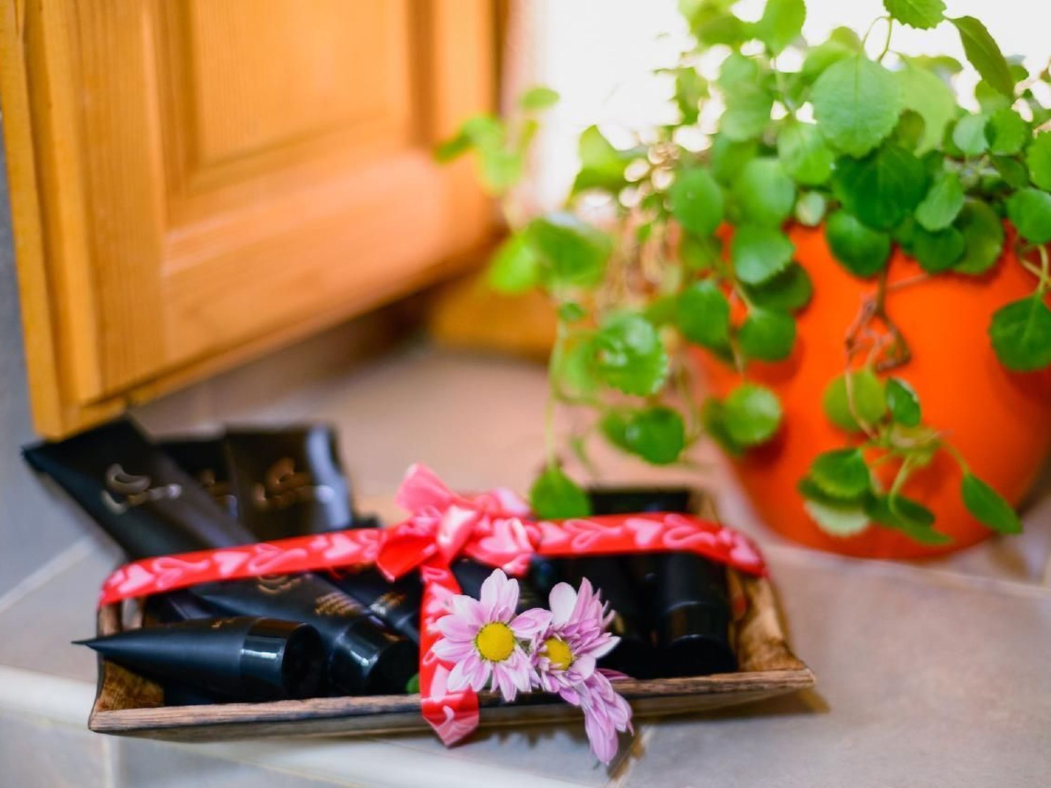 Landhaus im Berg von Leon-Inside