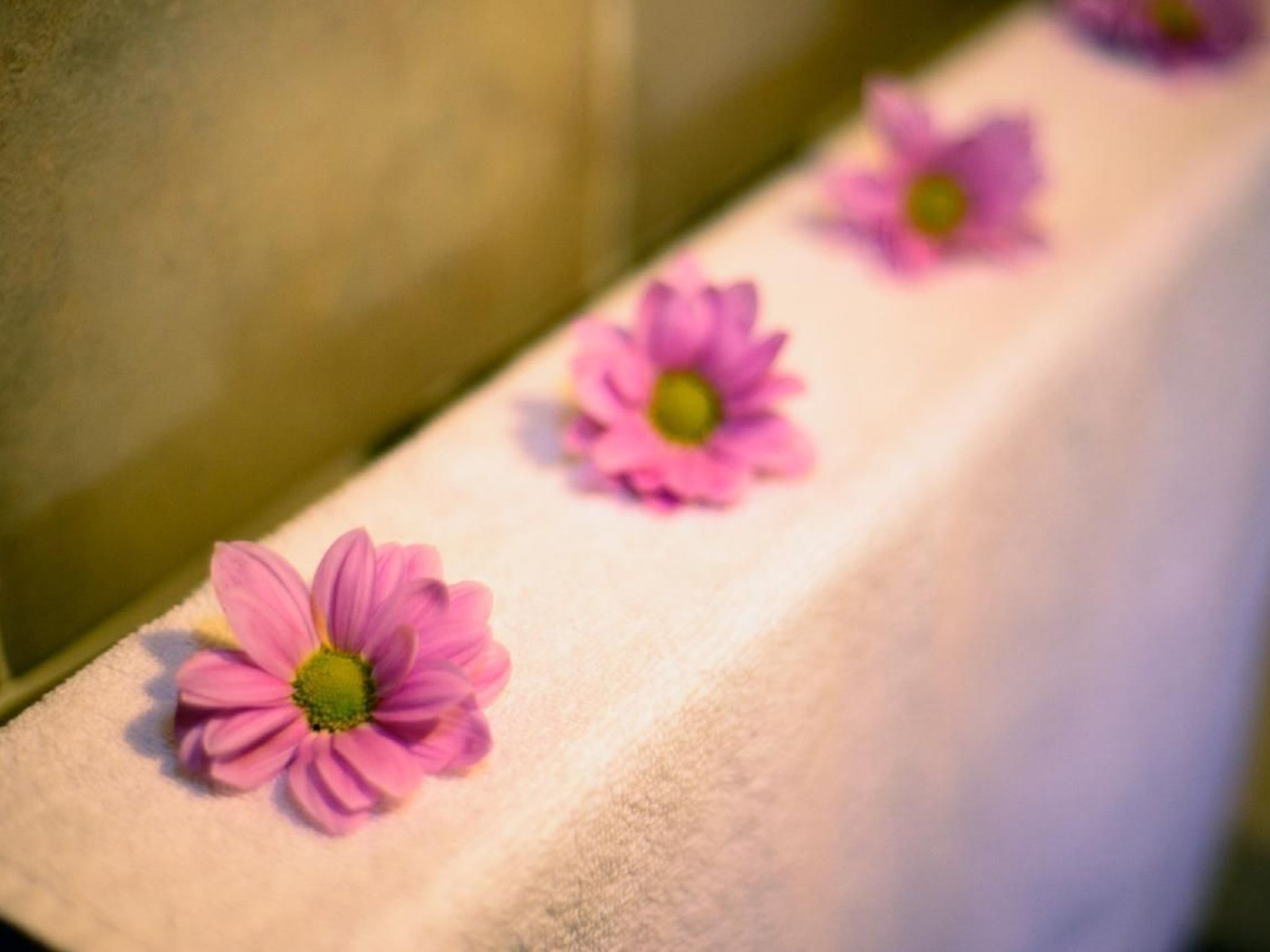 Landhaus im Berg von Leon-Inside