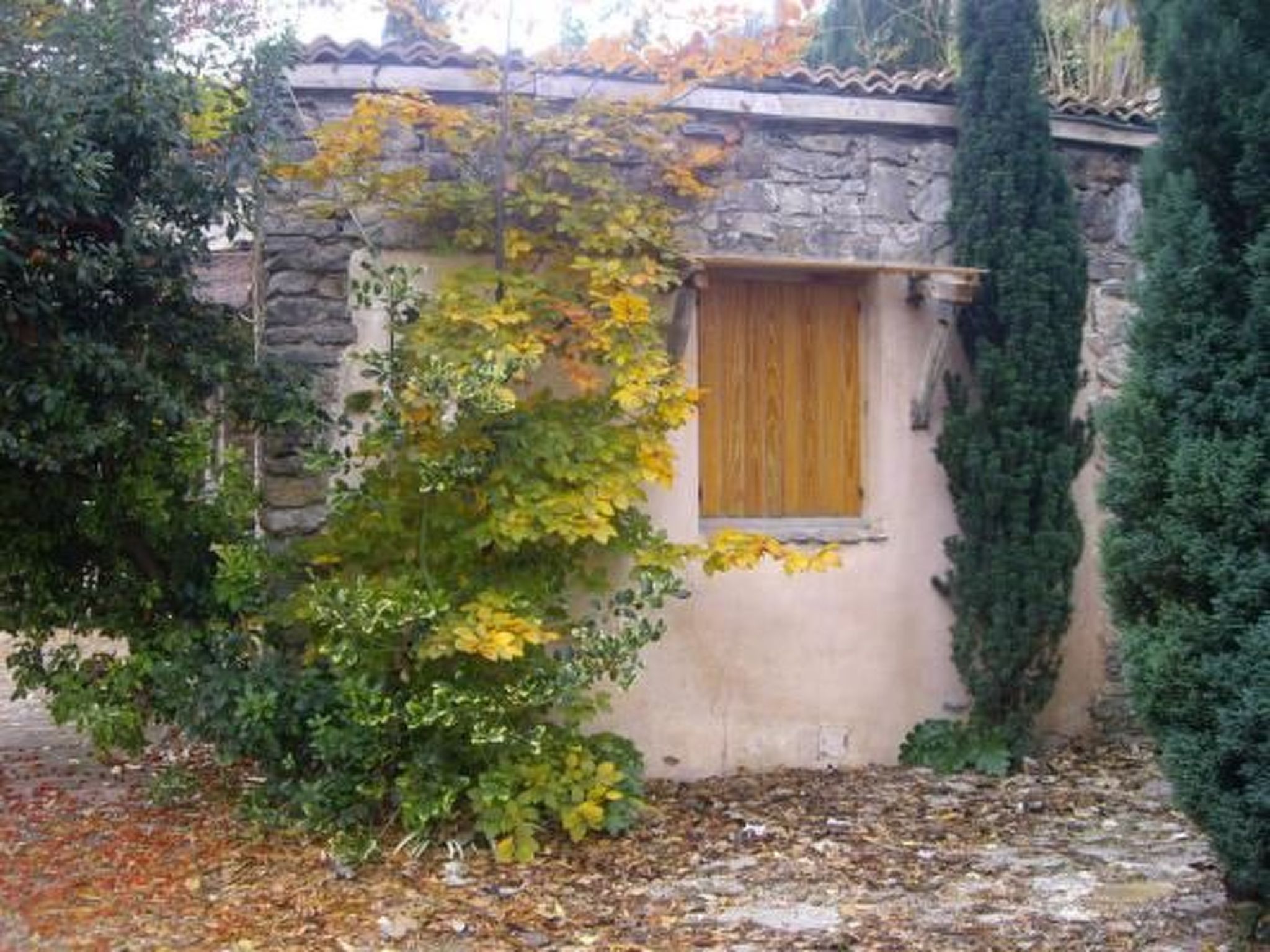 La Casita-Image-tags.info