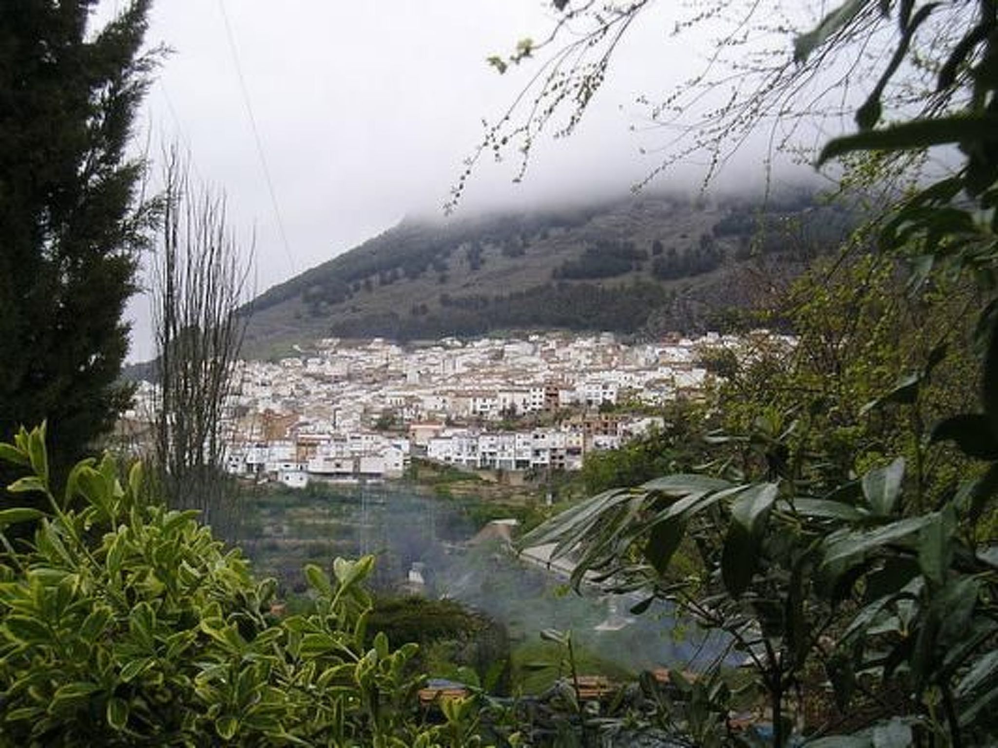 La Casita-Image-tags.info