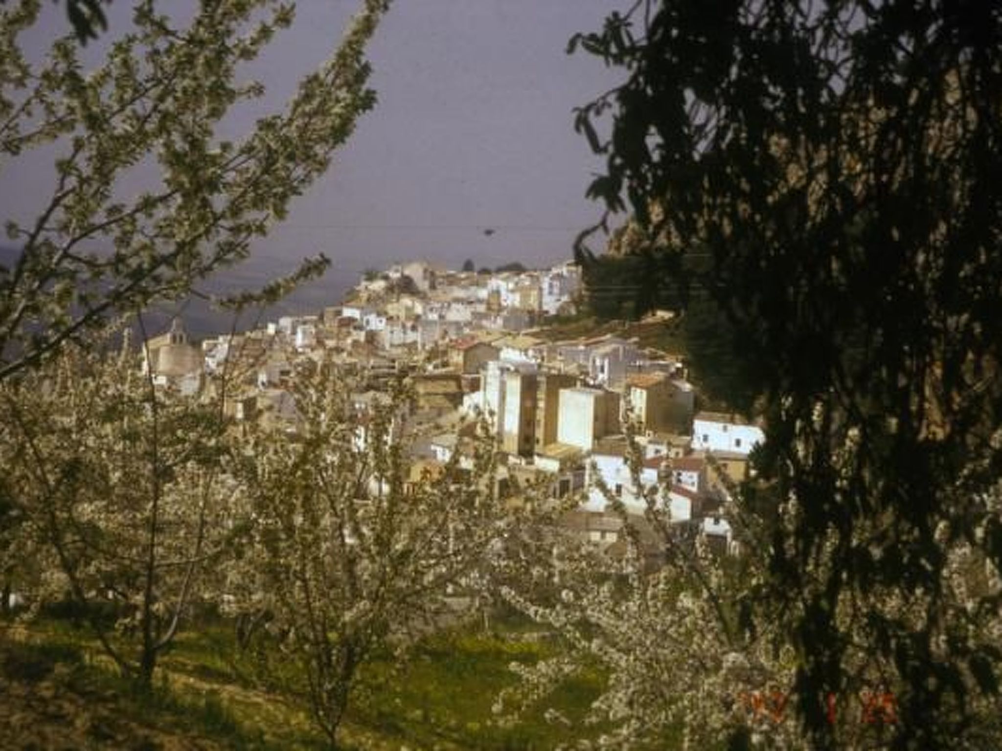 La Casita-Image-tags.info