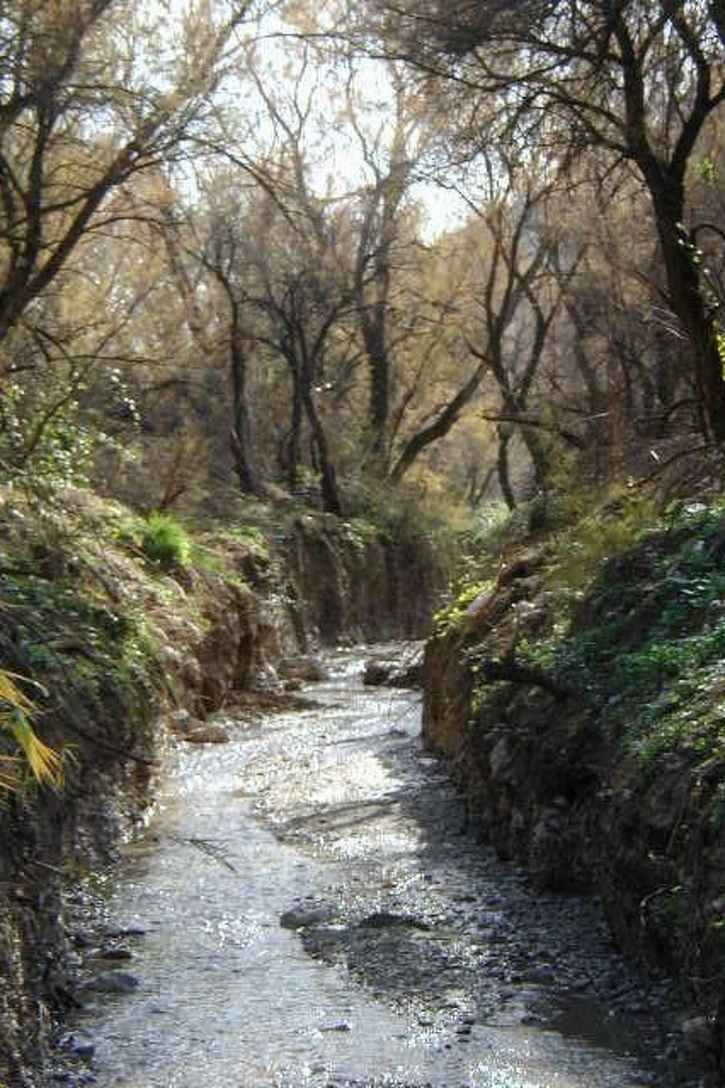 Haus La Cateta-Inside