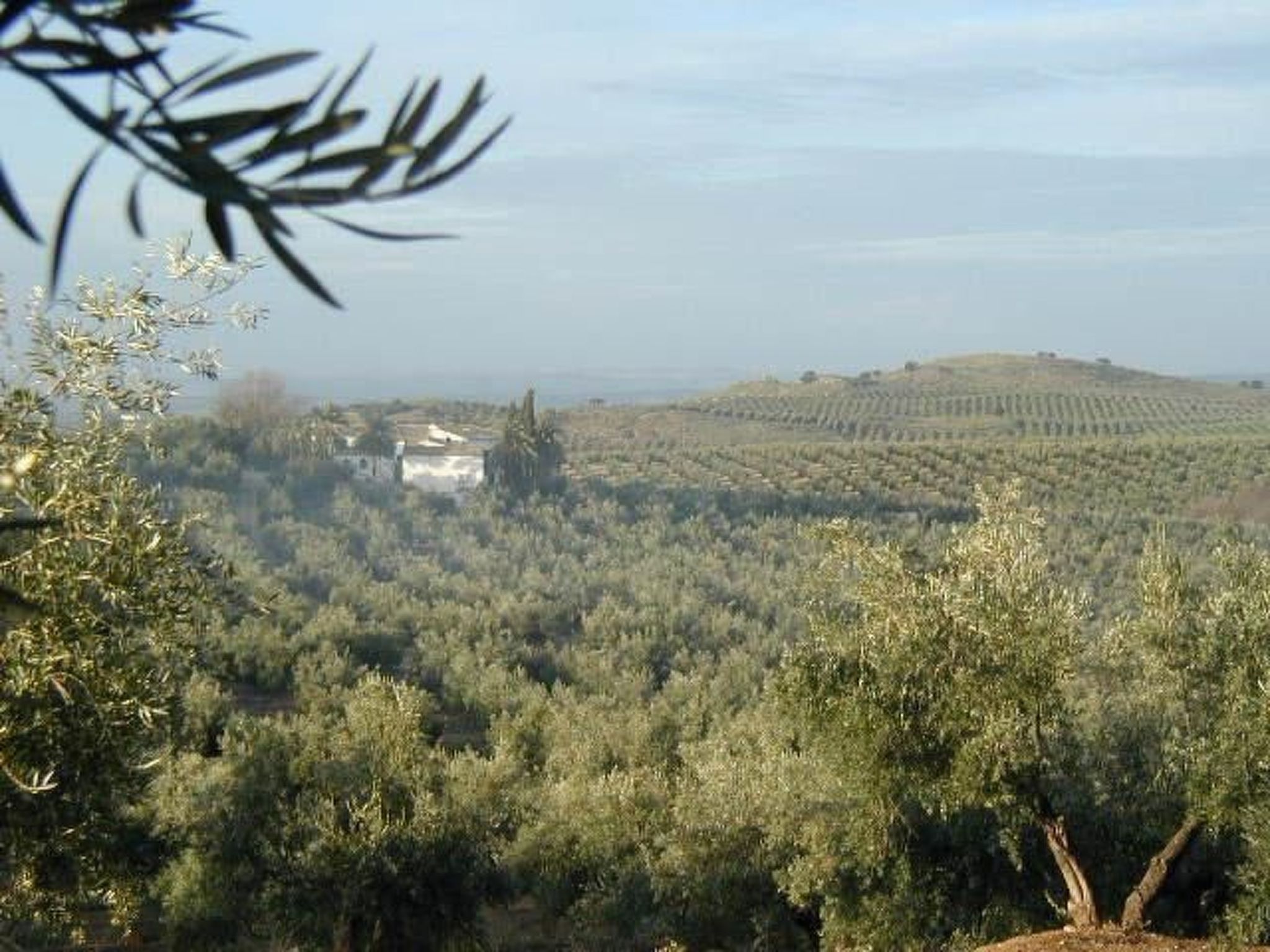 Haus La Cateta-Inside