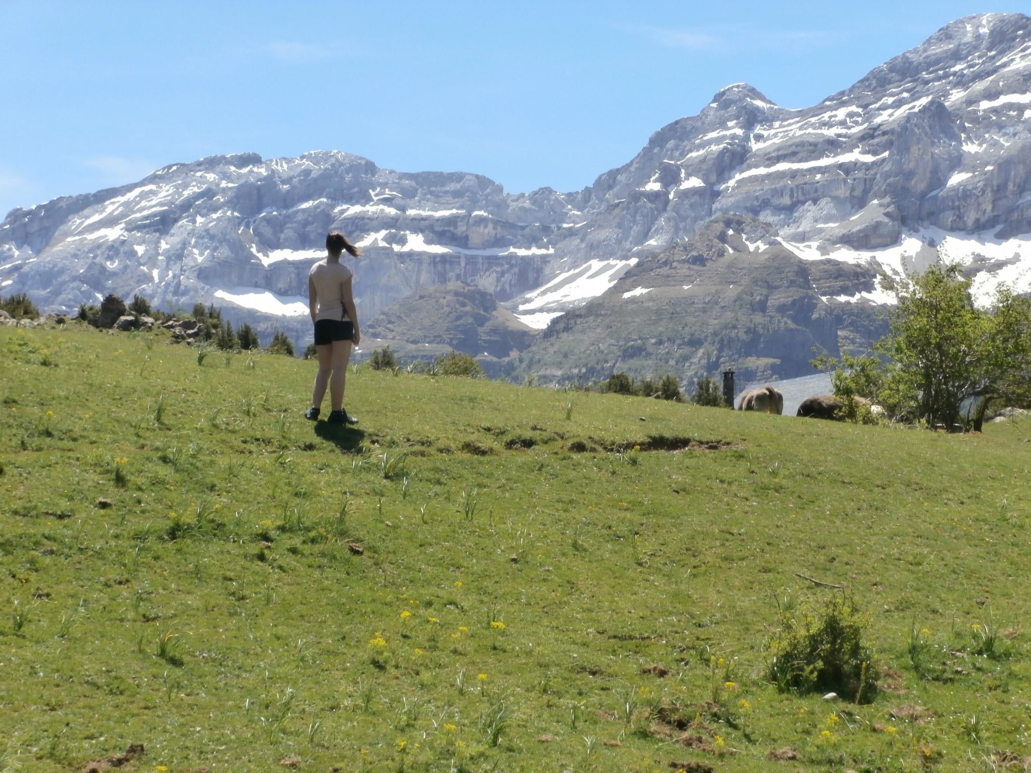 Trujar-Haus-Image-tags.info