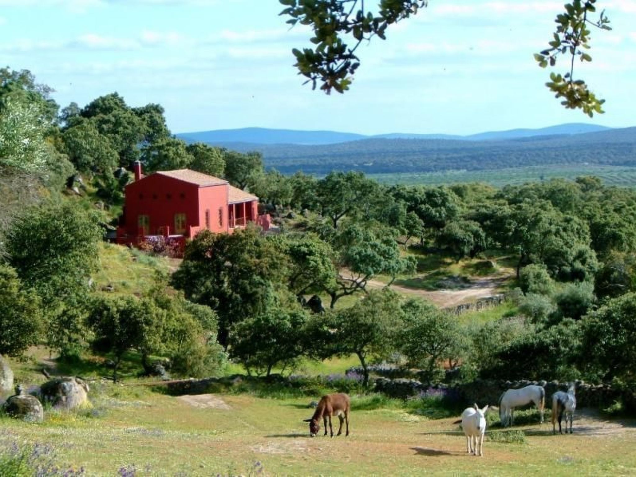 Das Cortijo auf der Finca al-manzil