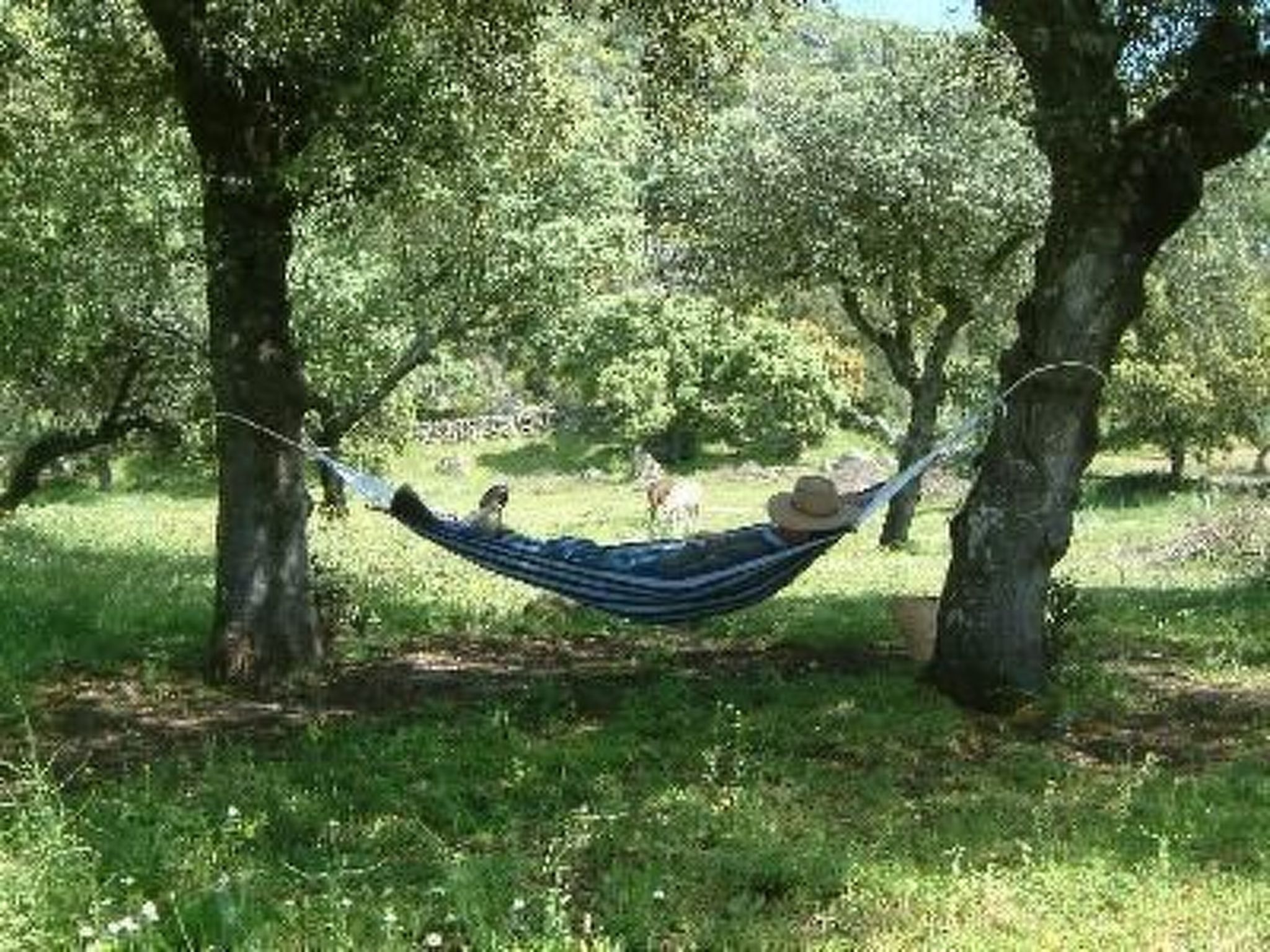 Das Cortijo auf der Finca al-manzil-Image-tags.info