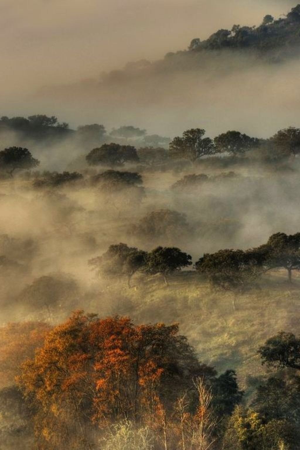 Das Cortijo auf der Finca al-manzil-Image-tags.info