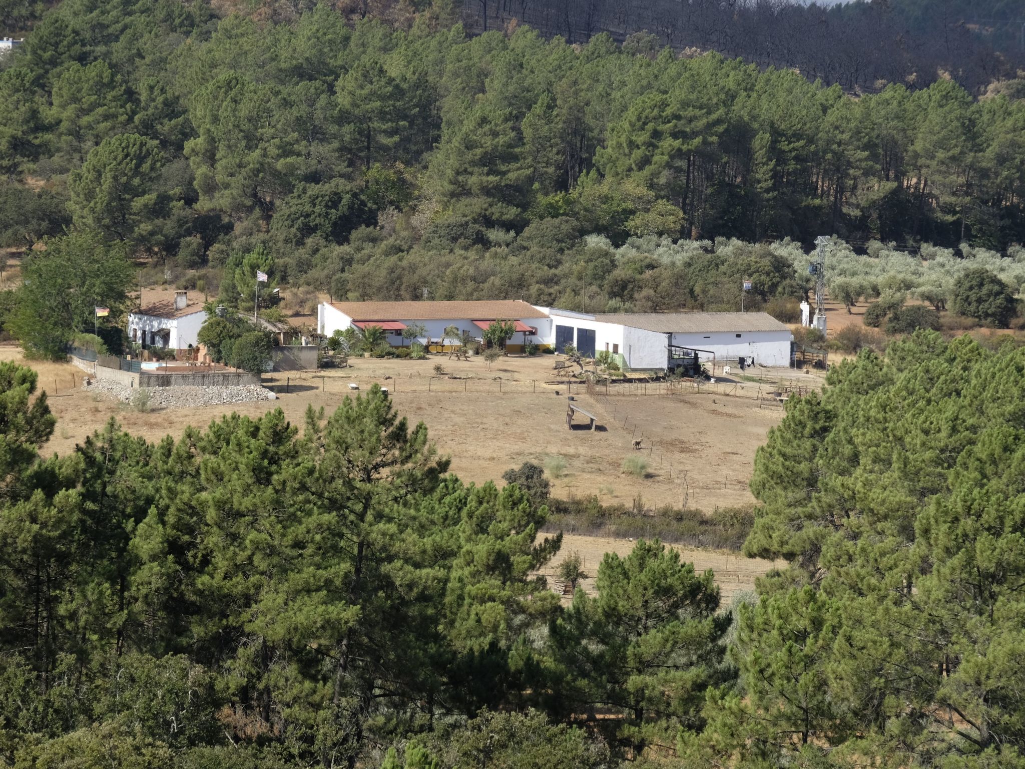 Finca "El Chorrillo" mit gemeinschaftlichem Pool-Image-tags.info