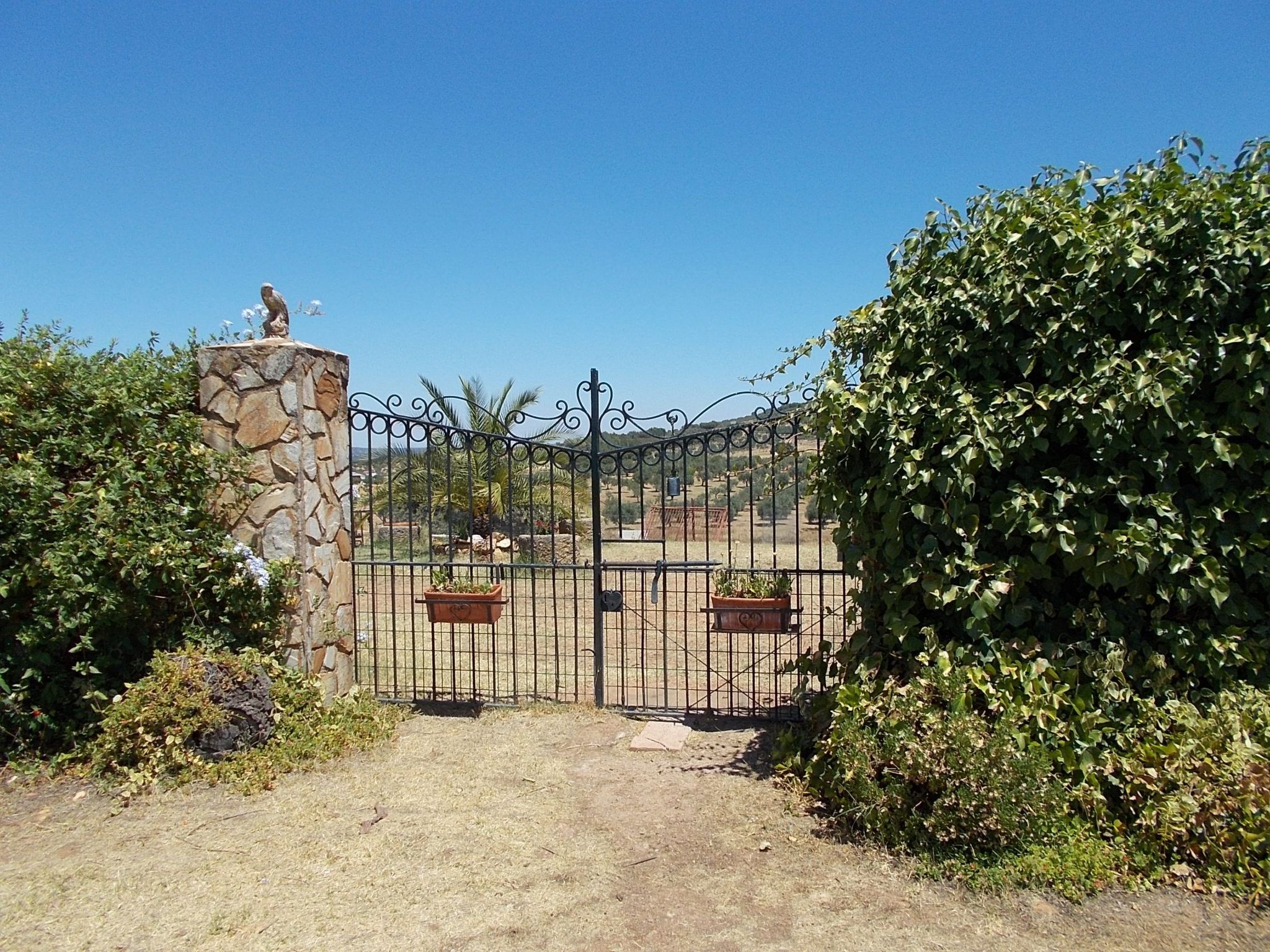 Finca "El Chorrillo" mit gemeinschaftlichem Pool-Image-tags.info