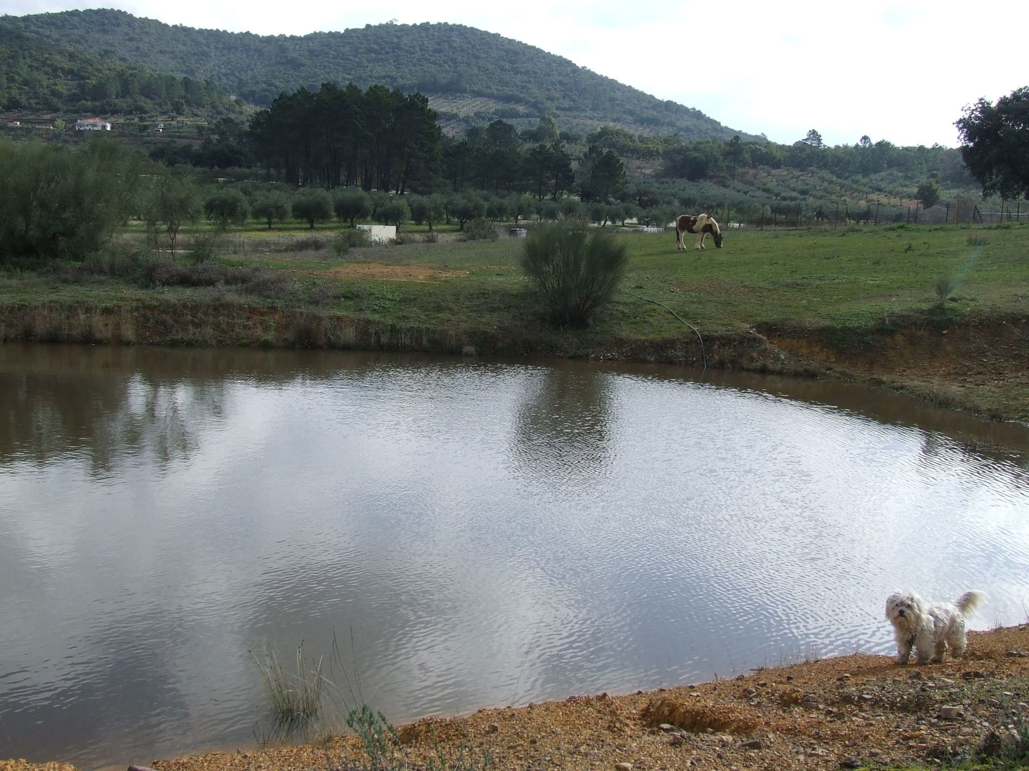 Finca "El Chorrillo" mit gemeinschaftlichem Pool-Image-tags.info