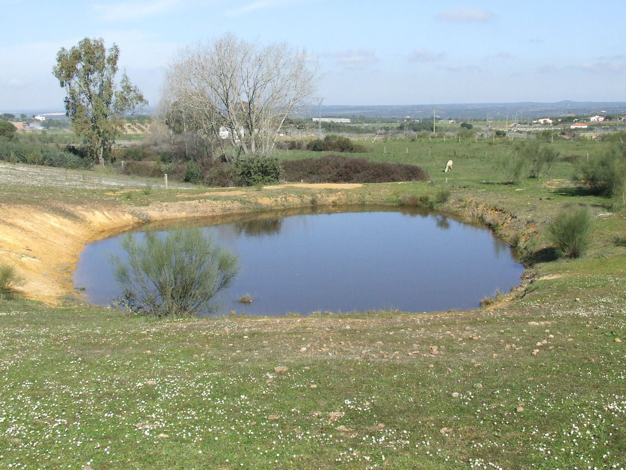 Finca "El Chorrillo" mit gemeinschaftlichem Pool-Image-tags.info