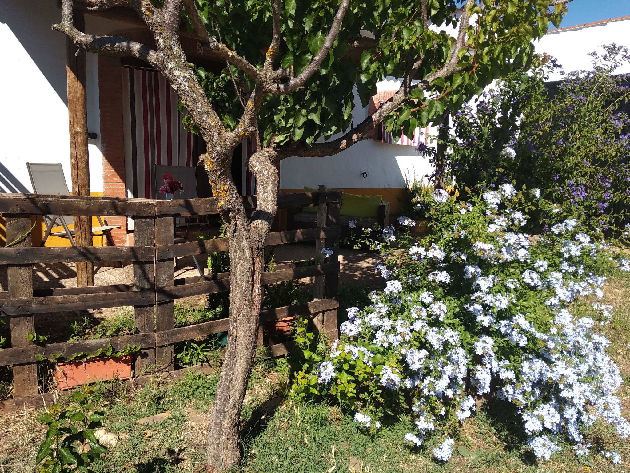 Finca El Chorrillo Studio