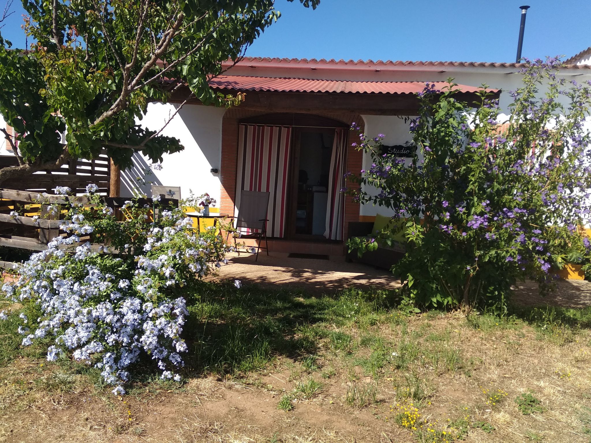 Finca El Chorrillo Studio-Image-tags.info