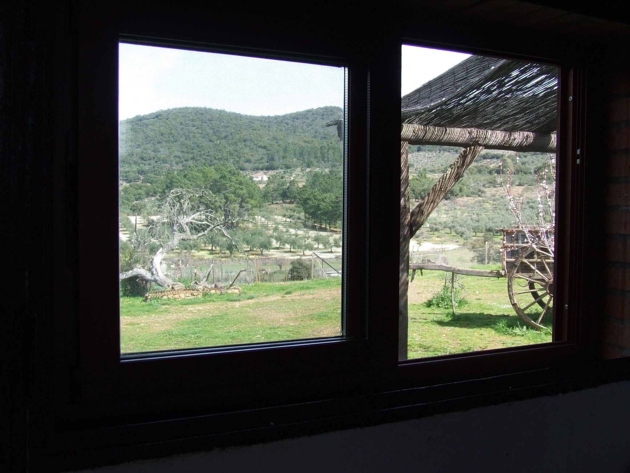 Finca El Chorrillo Studio-Image-tags.info