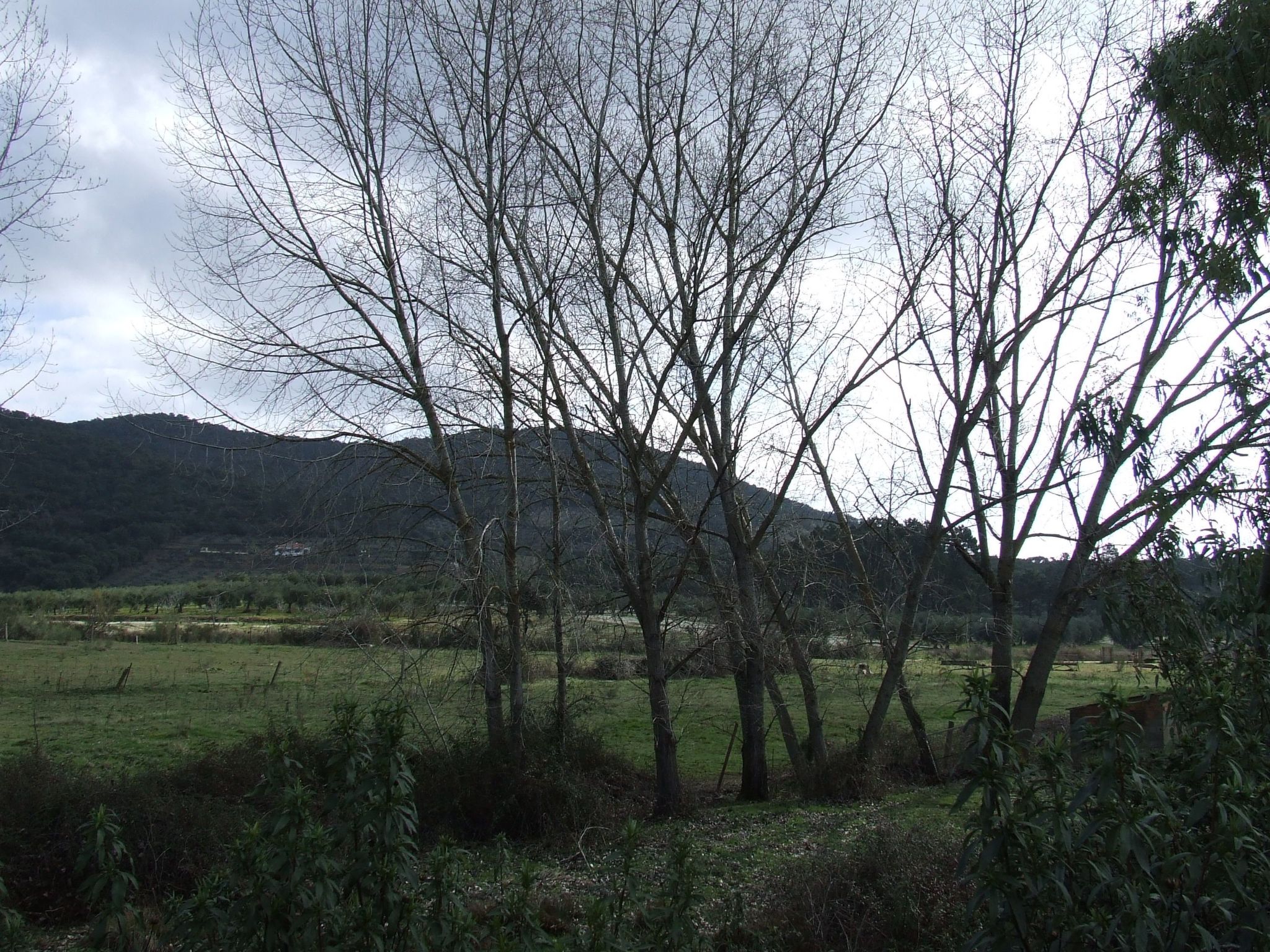 Finca El Chorrillo Studio-Image-tags.info