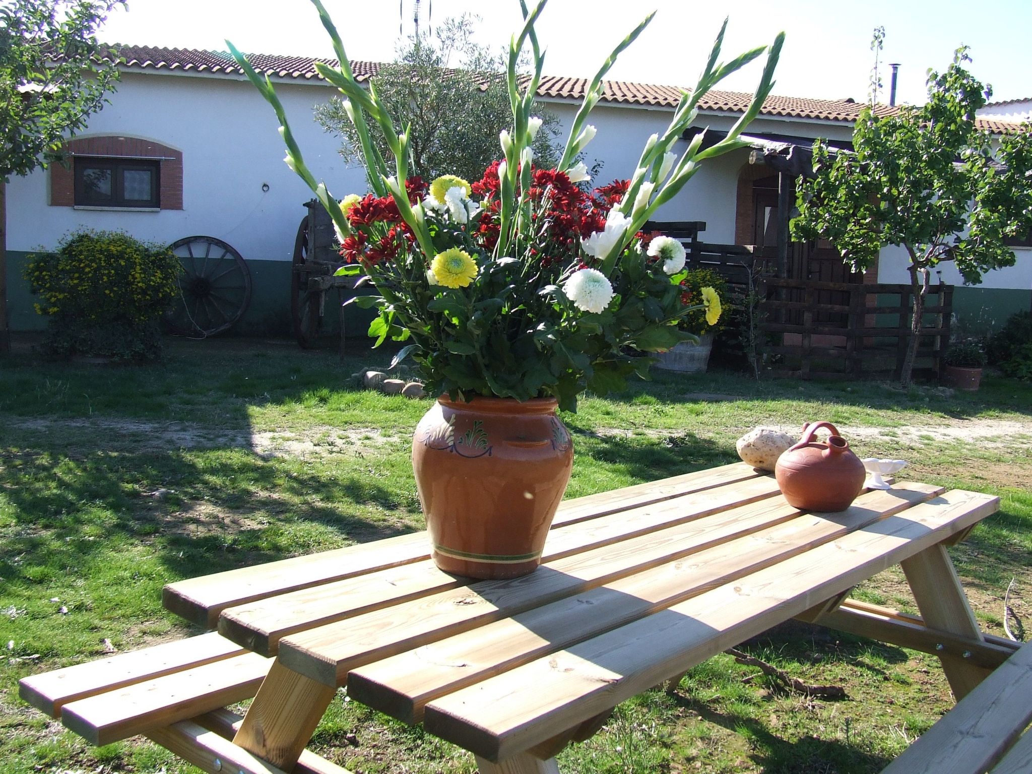 Finca El Chorrillo Studio-Image-tags.info