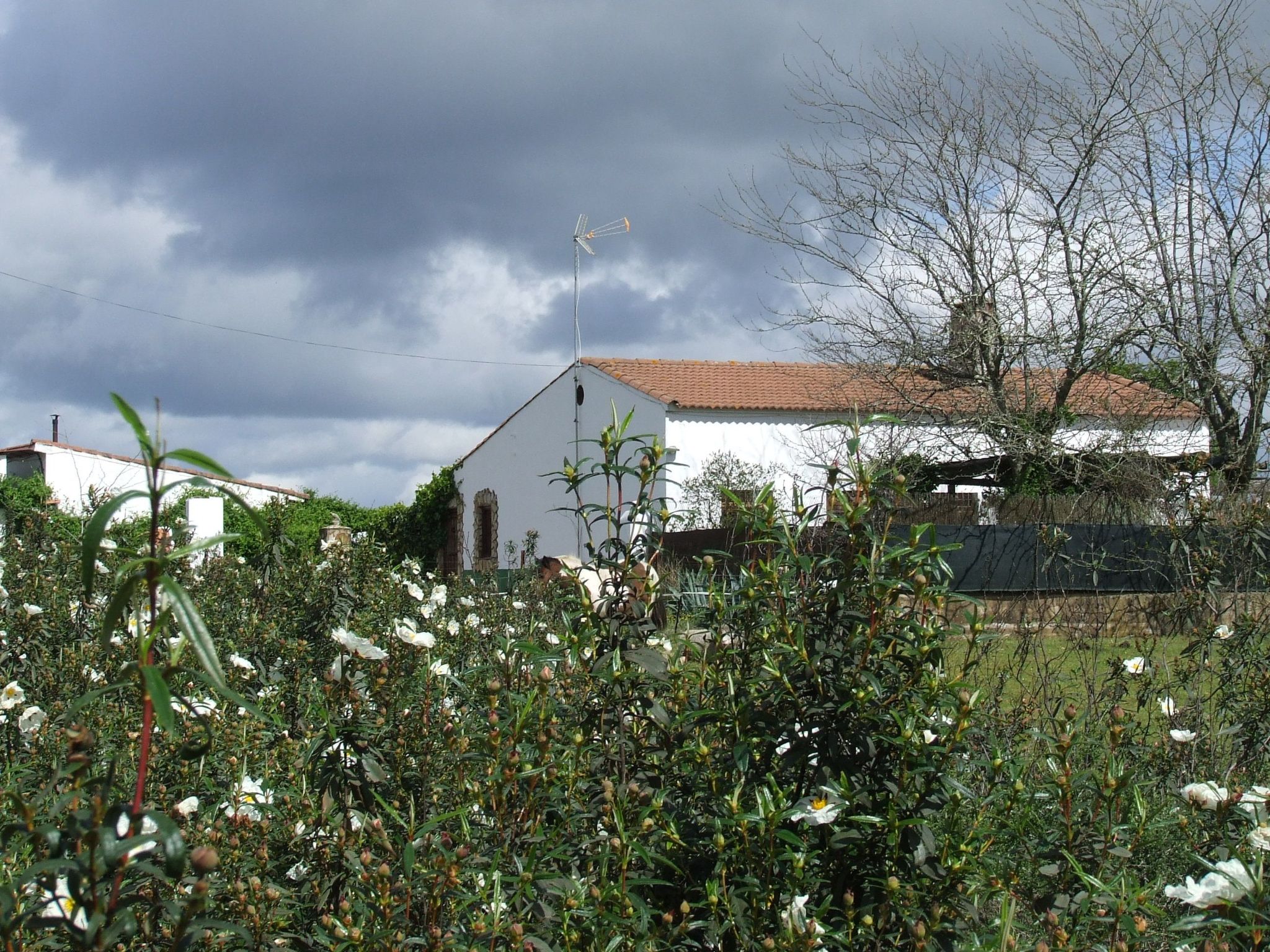 Finca El Chorrillo Studio-Image-tags.info