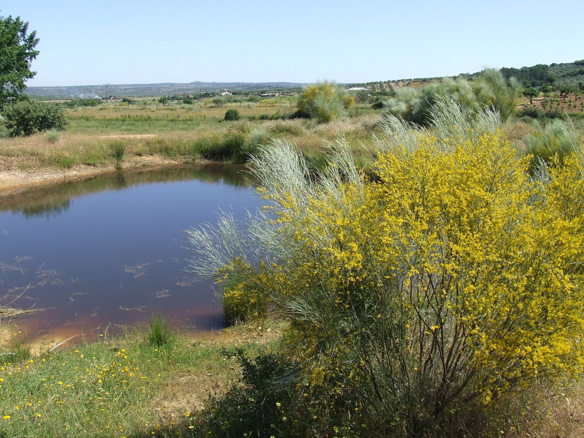 Finca El Chorrillo Studio-Image-tags.info