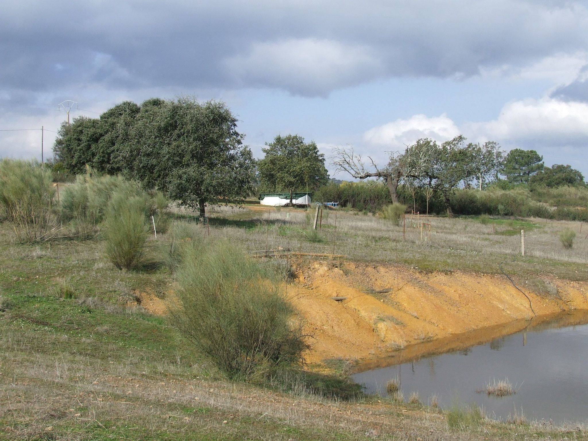 Finca El Chorrillo Studio-Image-tags.info