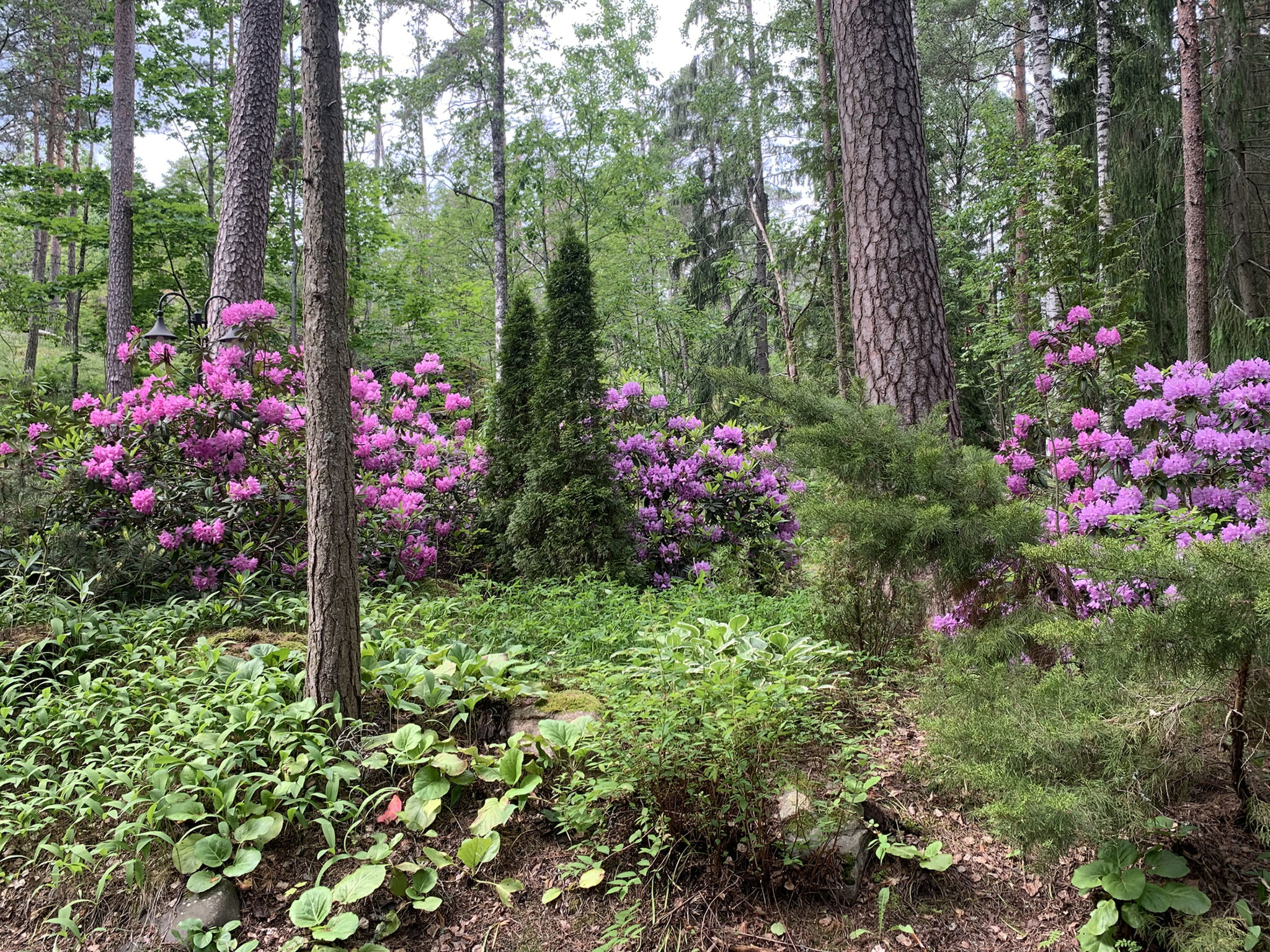Villa kallahti beach view helsinki-Binnen