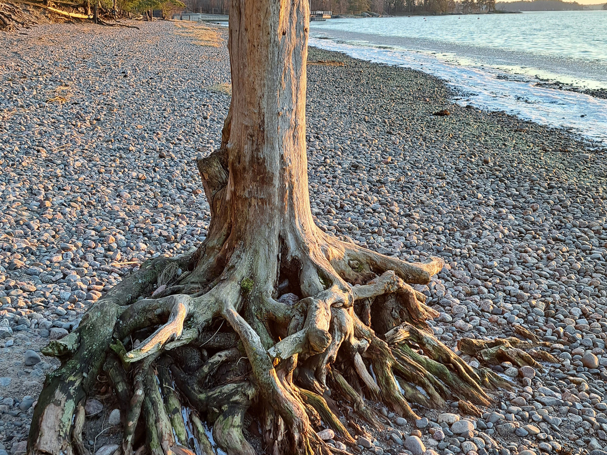 Villa kallahti beach view helsinki-Binnen