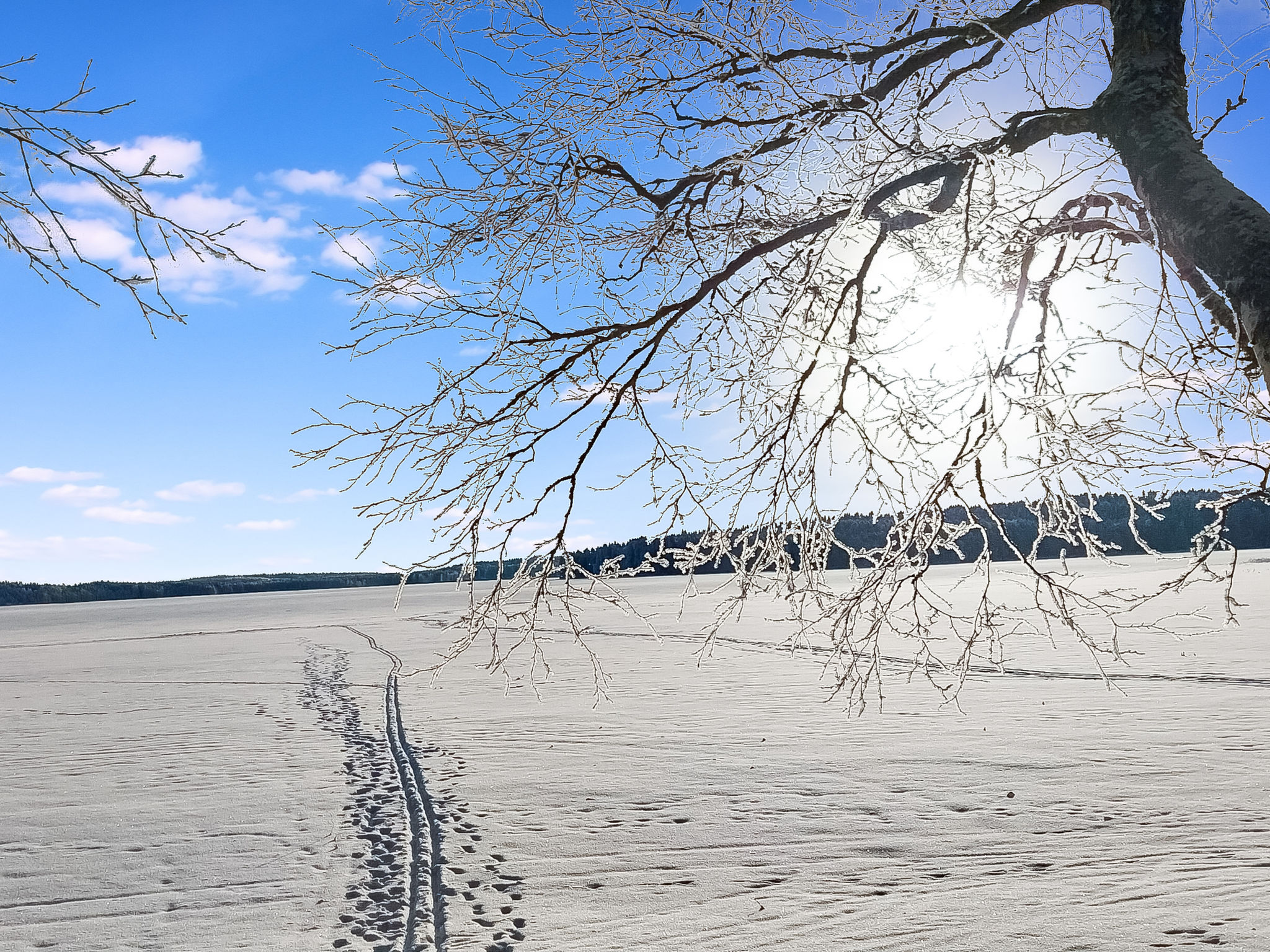 Kesäniitty - Binnen