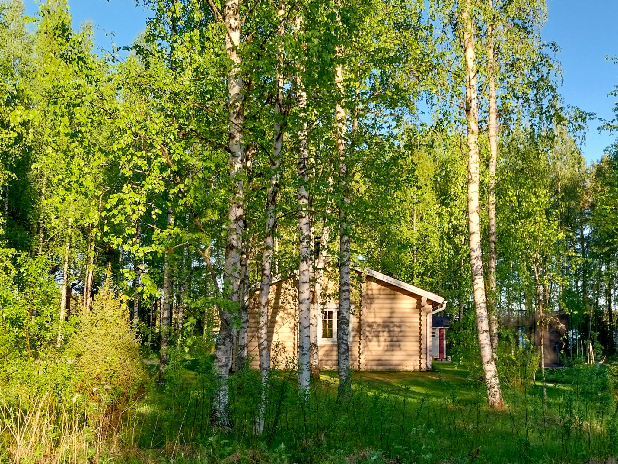 Kesäniitty