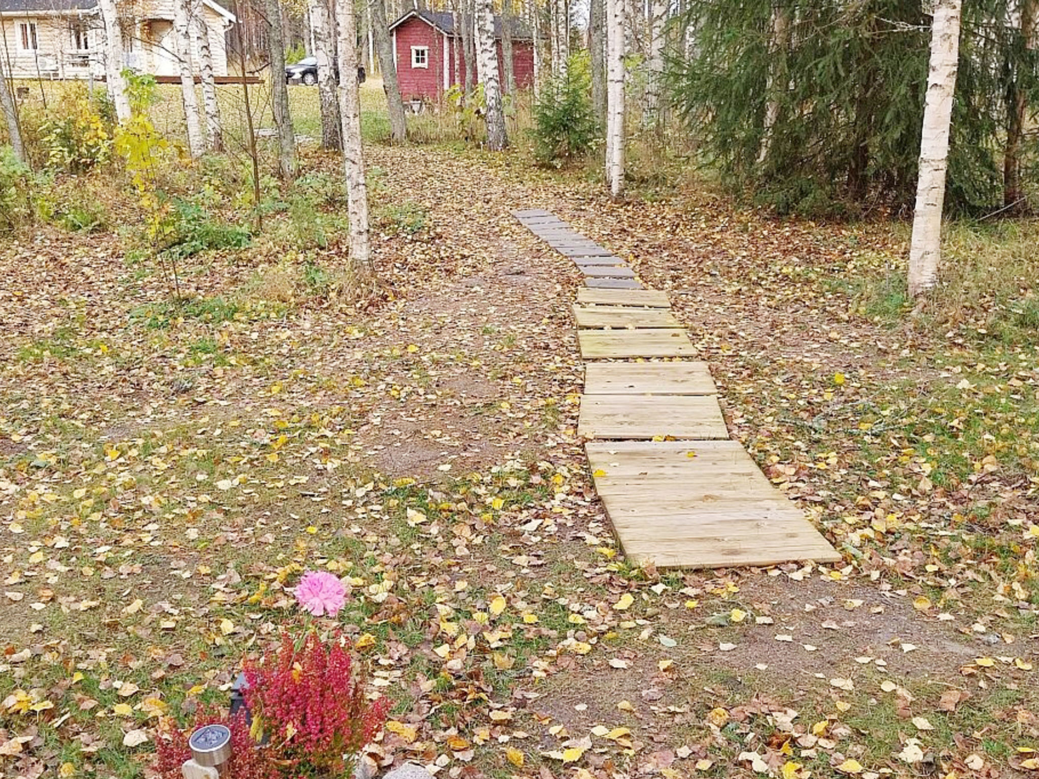 Kesäniitty - Binnen