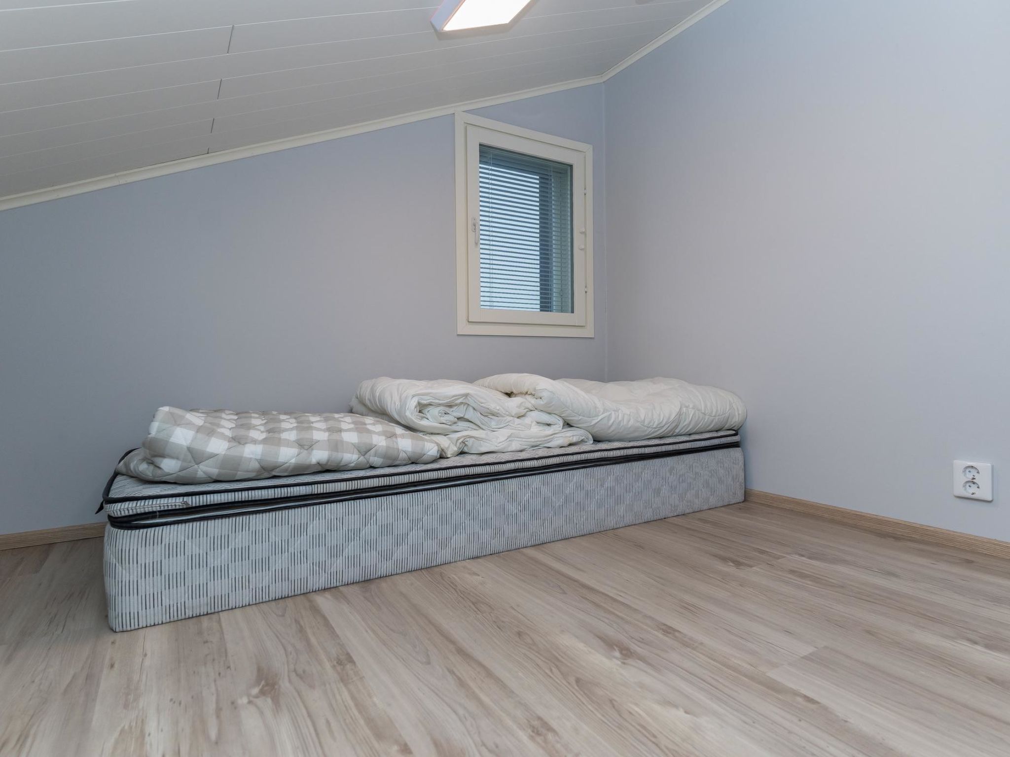 Photo of Kotokuusi 1