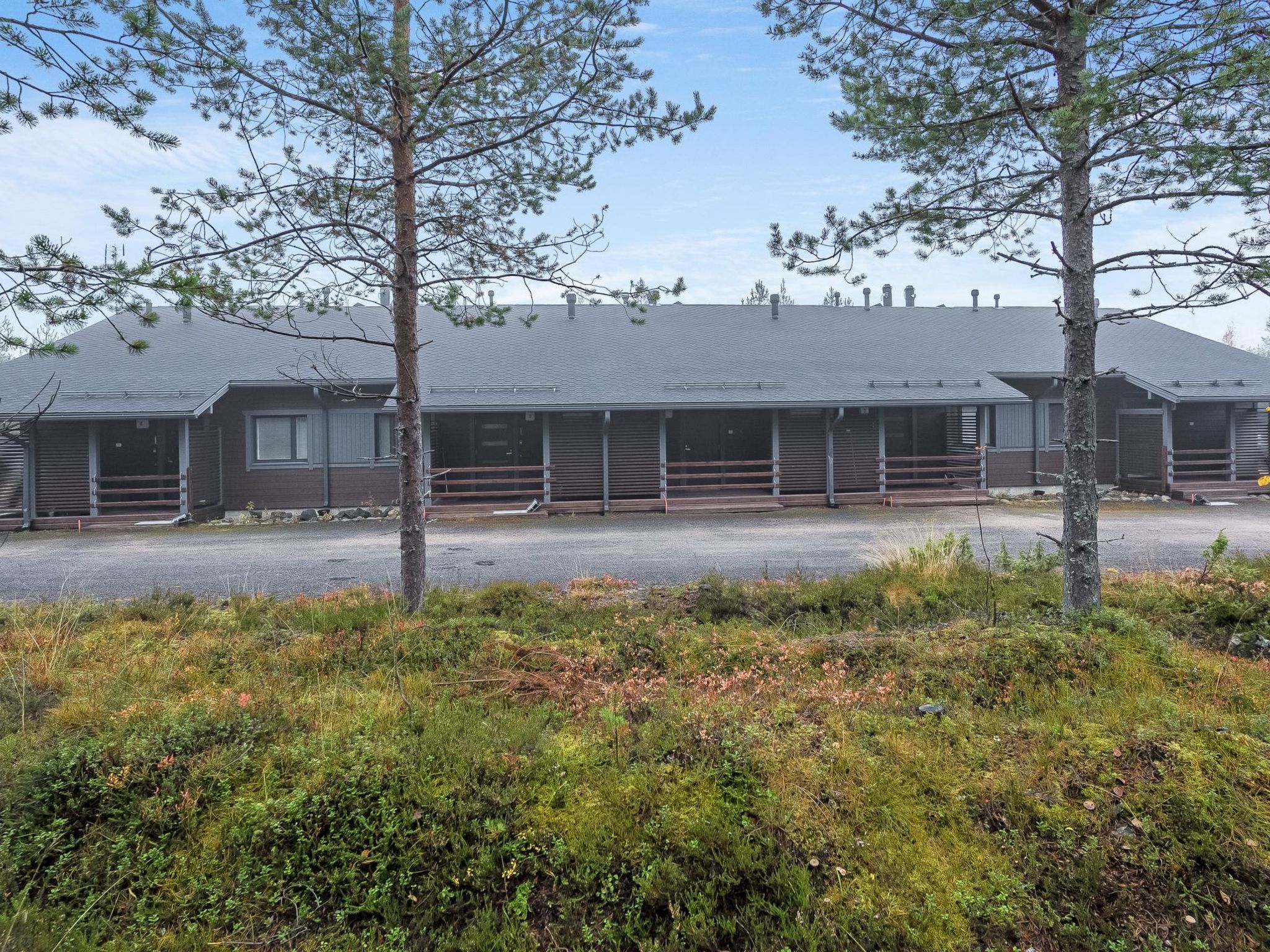 Photo of Kotokuusi 1