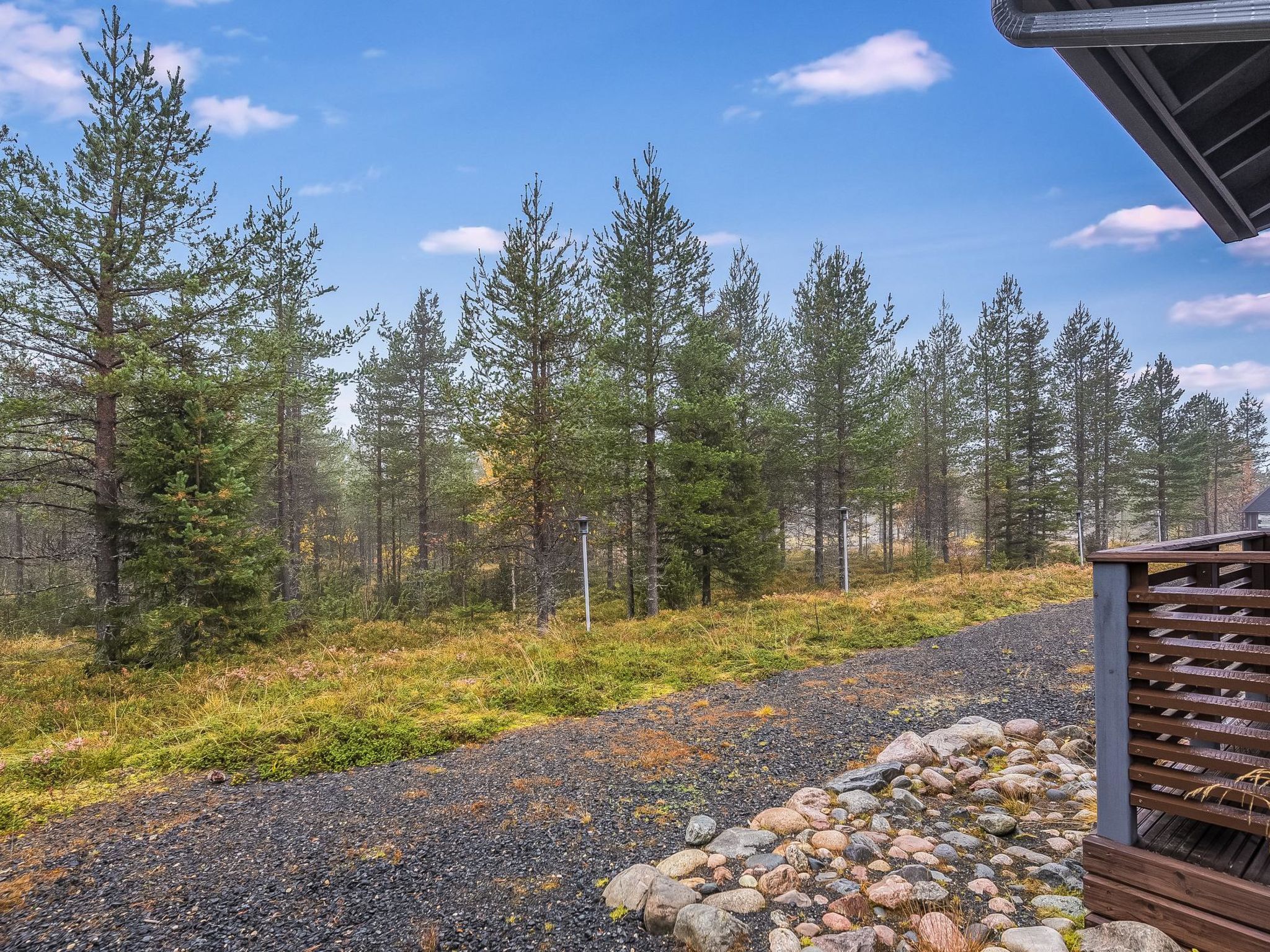 Photo of Kotokuusi 3